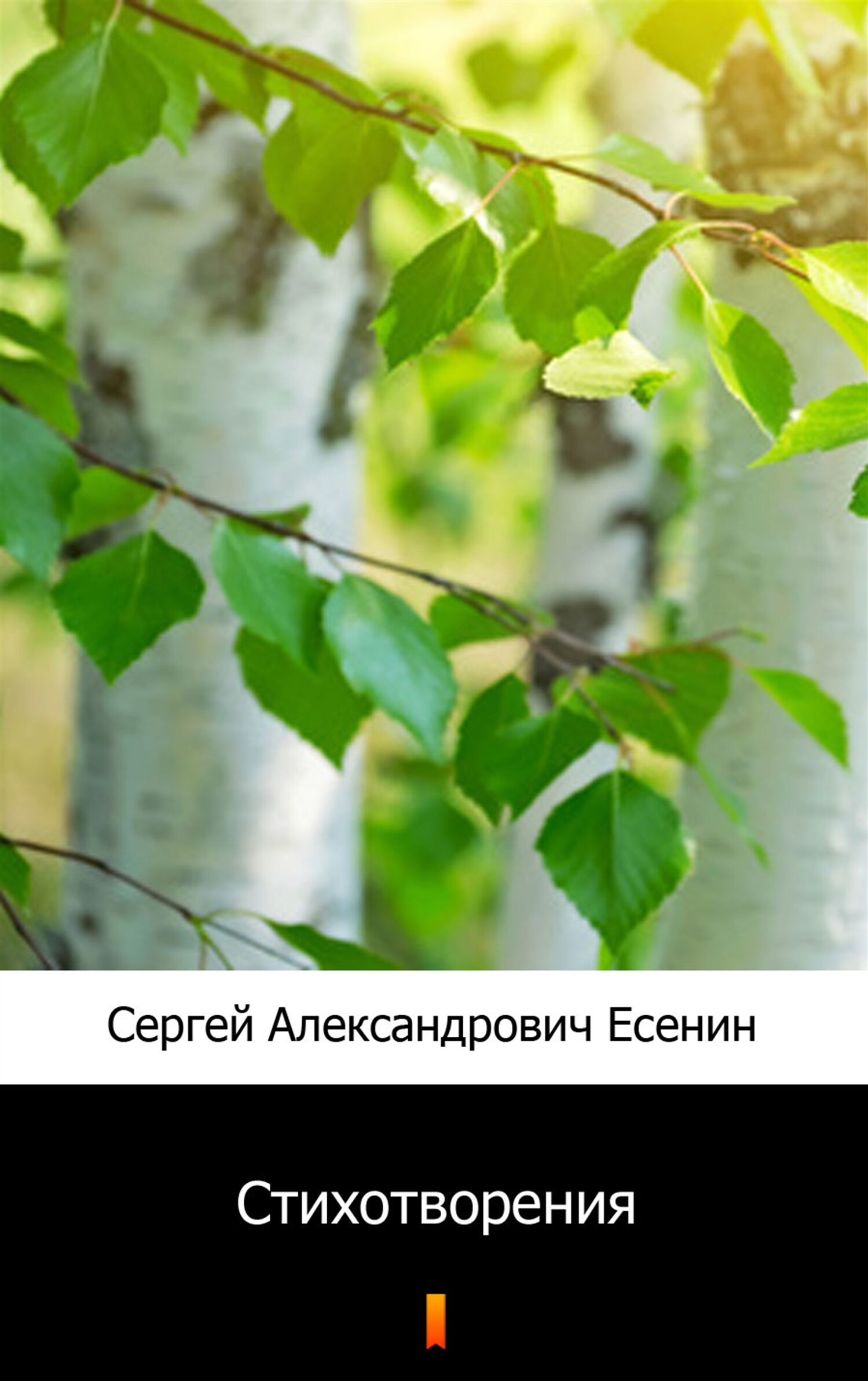 Стихотворения (Wiersze) (e-book)