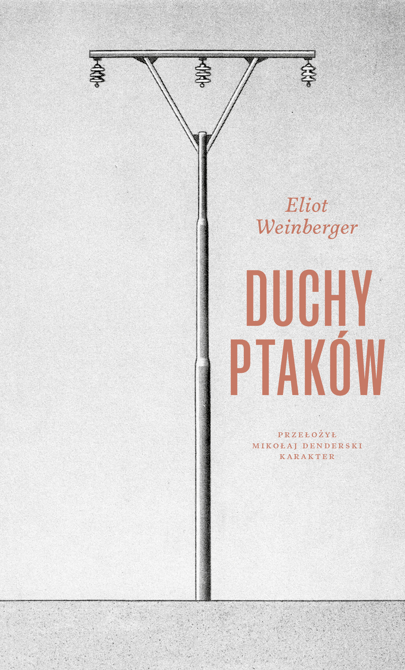 Duchy ptaków (e-book)