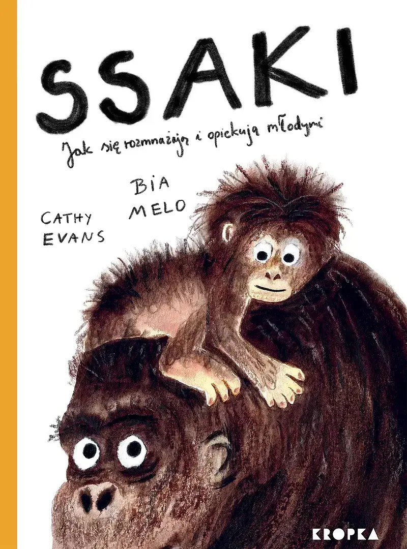 Ssaki