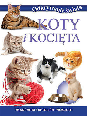 Koty i kocięta.