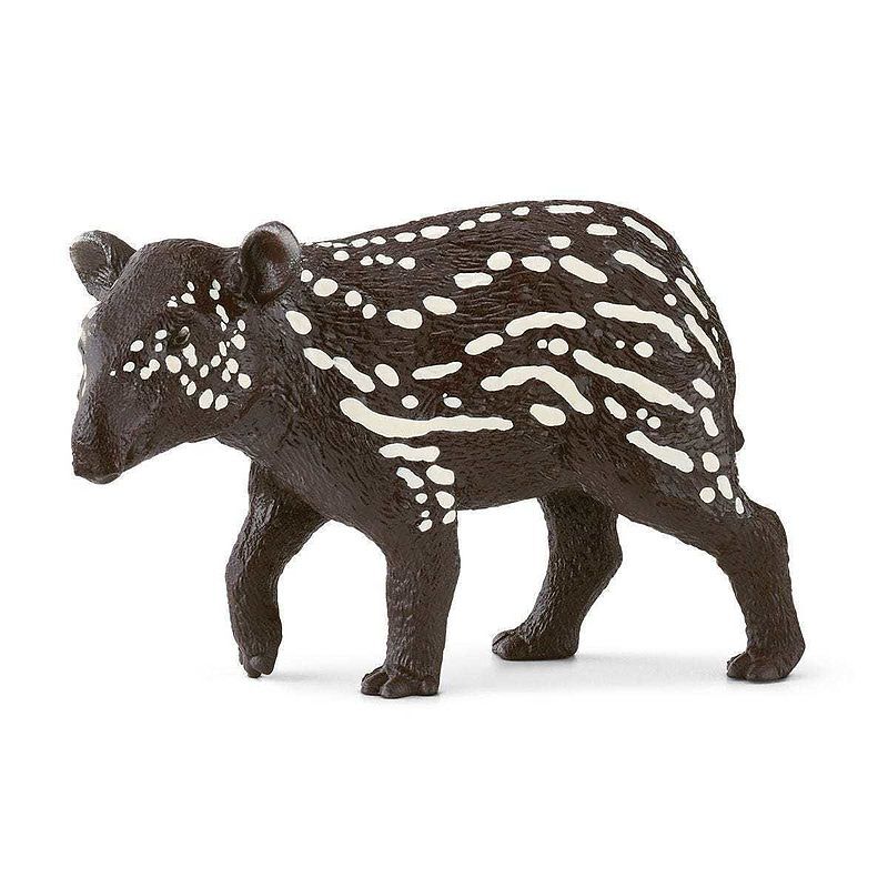 Mały tapir slh14851