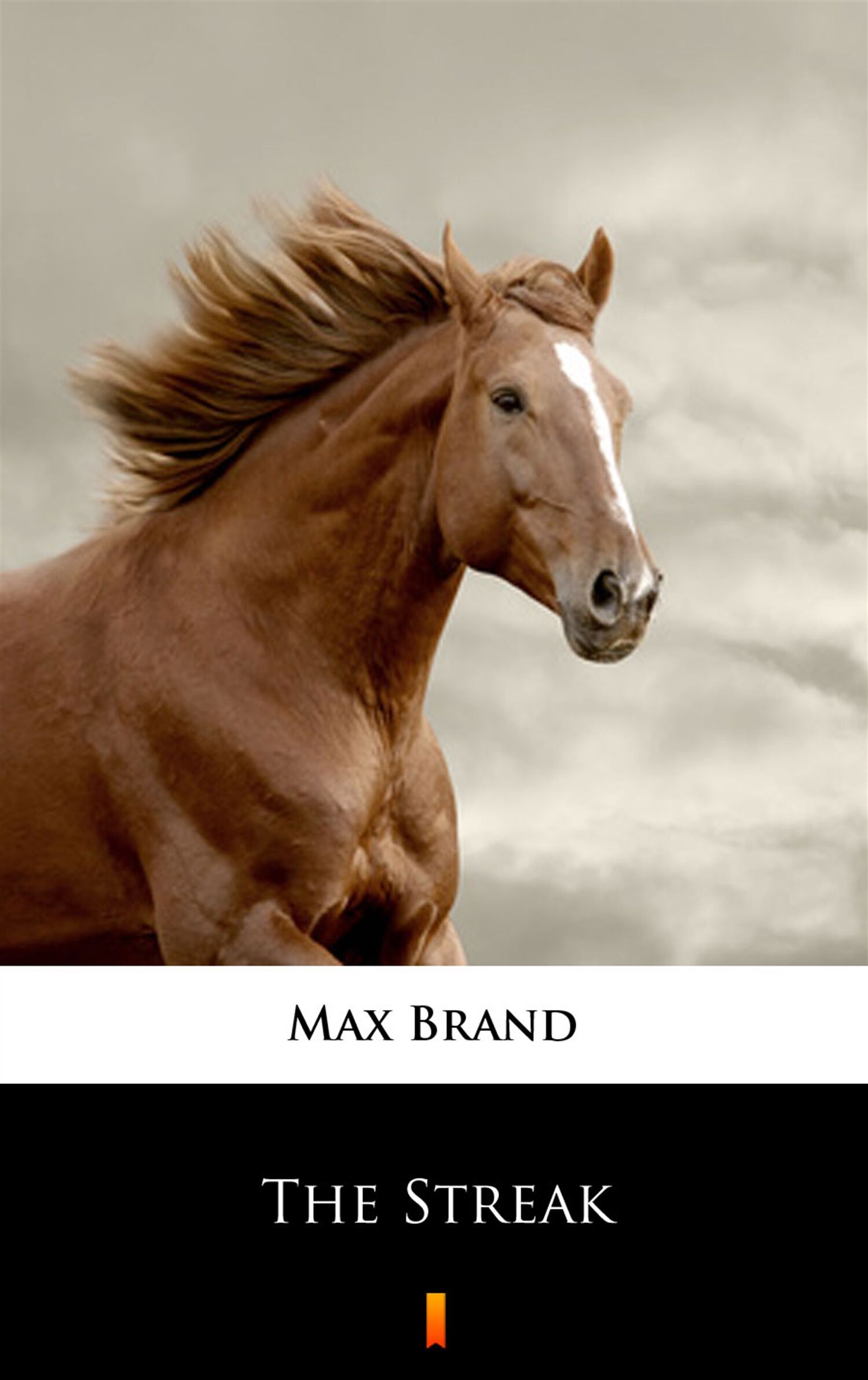 The Streak (e-book)