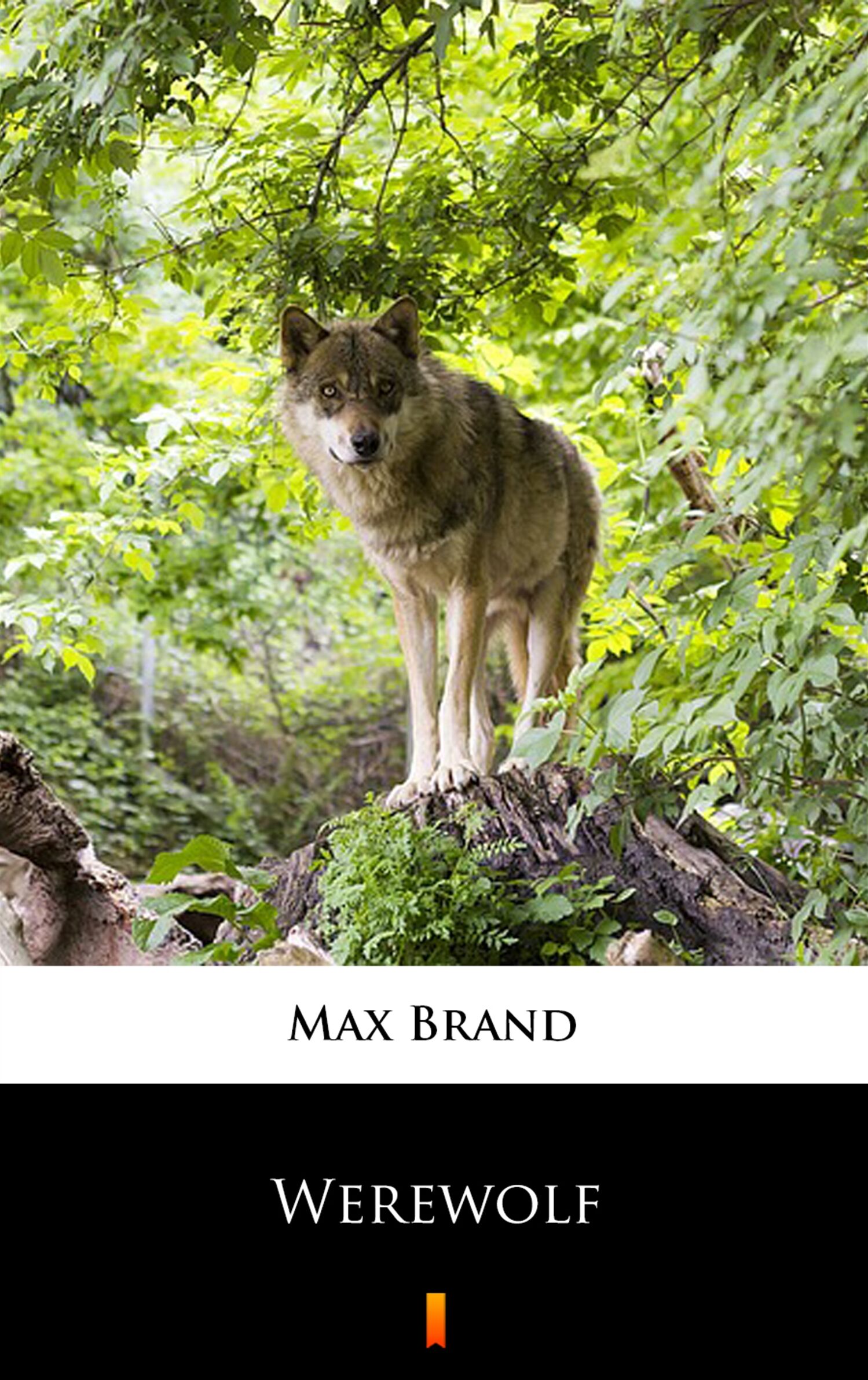 Werewolf (e-book)