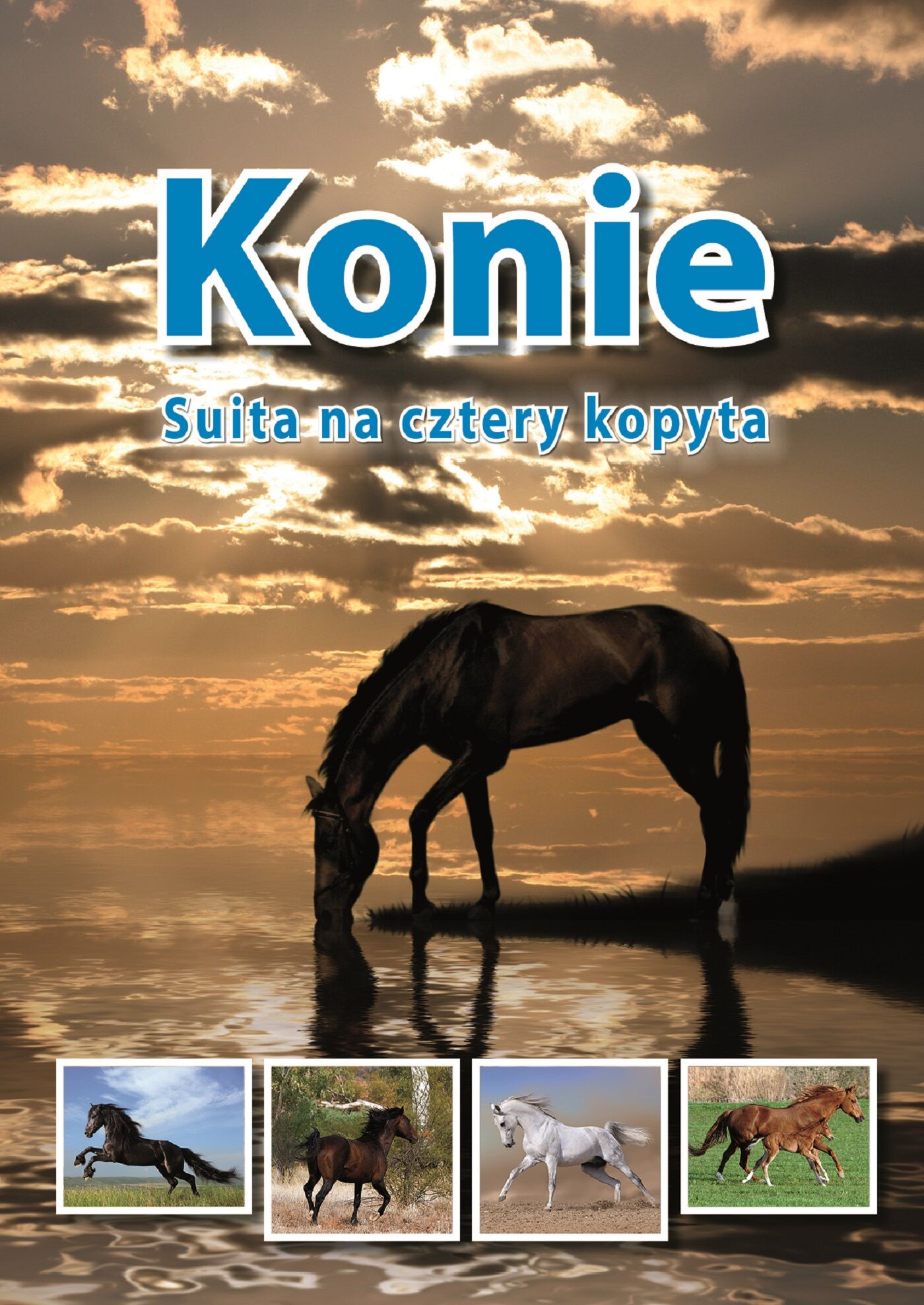 Konie. Suita na cztery kopyta