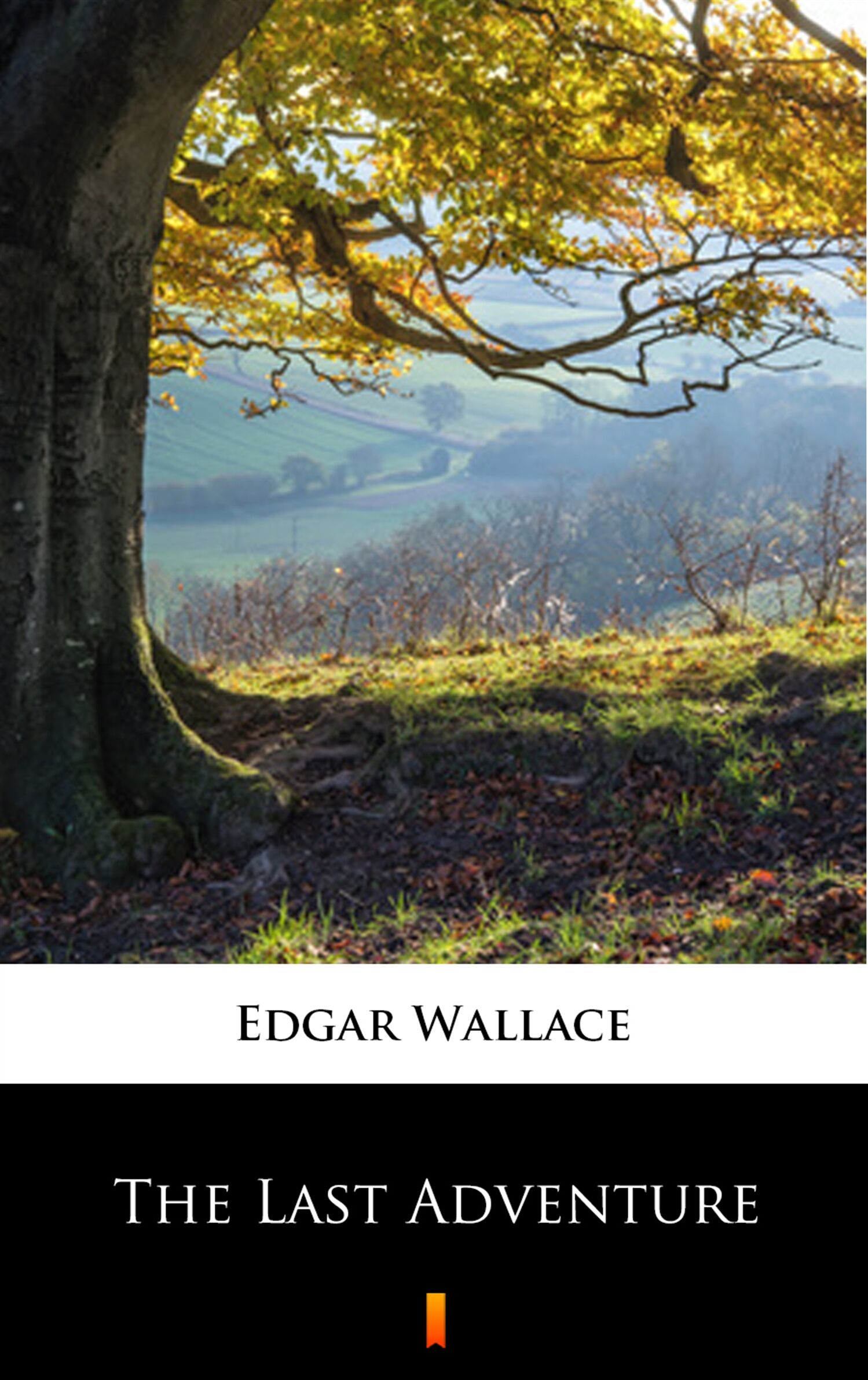 The Last Adventure (e-book)