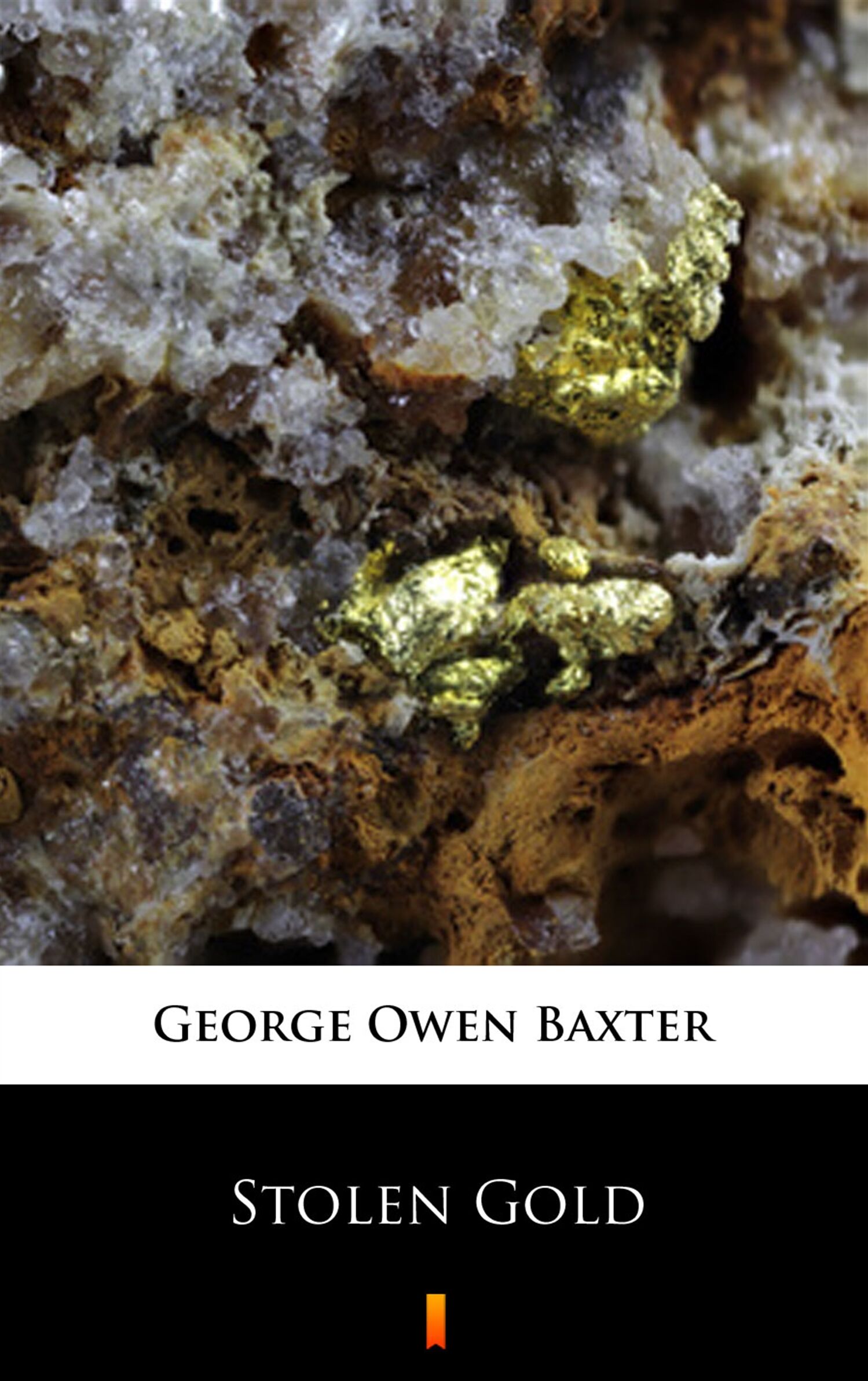 Stolen Gold (e-book)