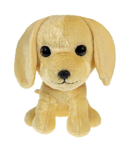 Lumo Golden retriever Molly big
