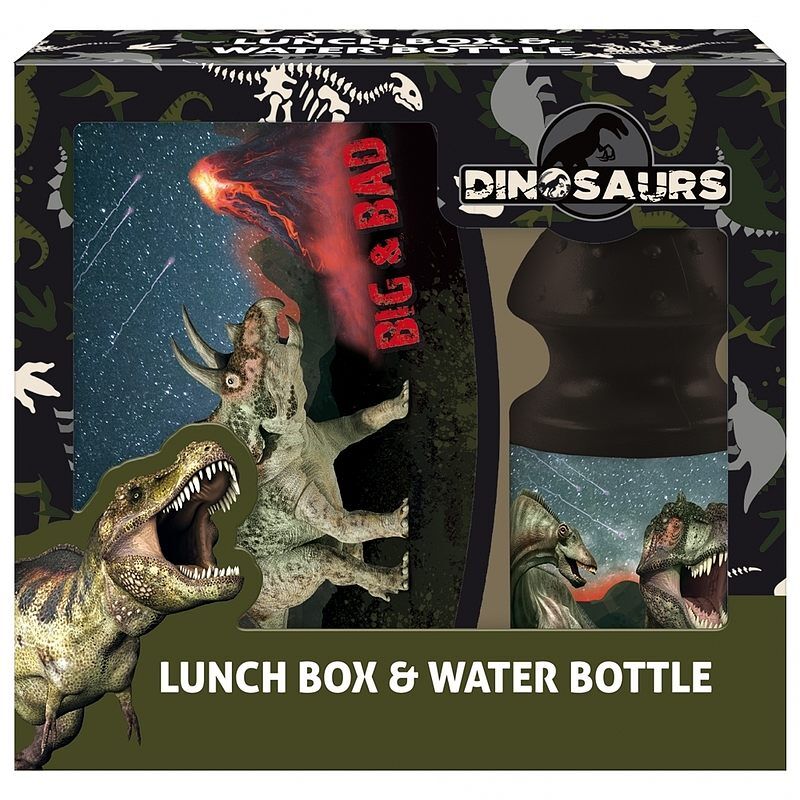 Zestaw śniadaniowy pojemnik + bidon 330ml dinozaur 17