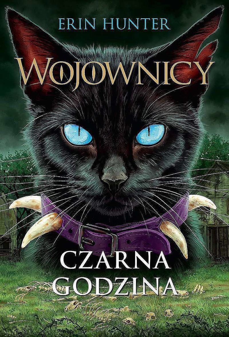 Czarna godzina, Wojownicy, Tom VI