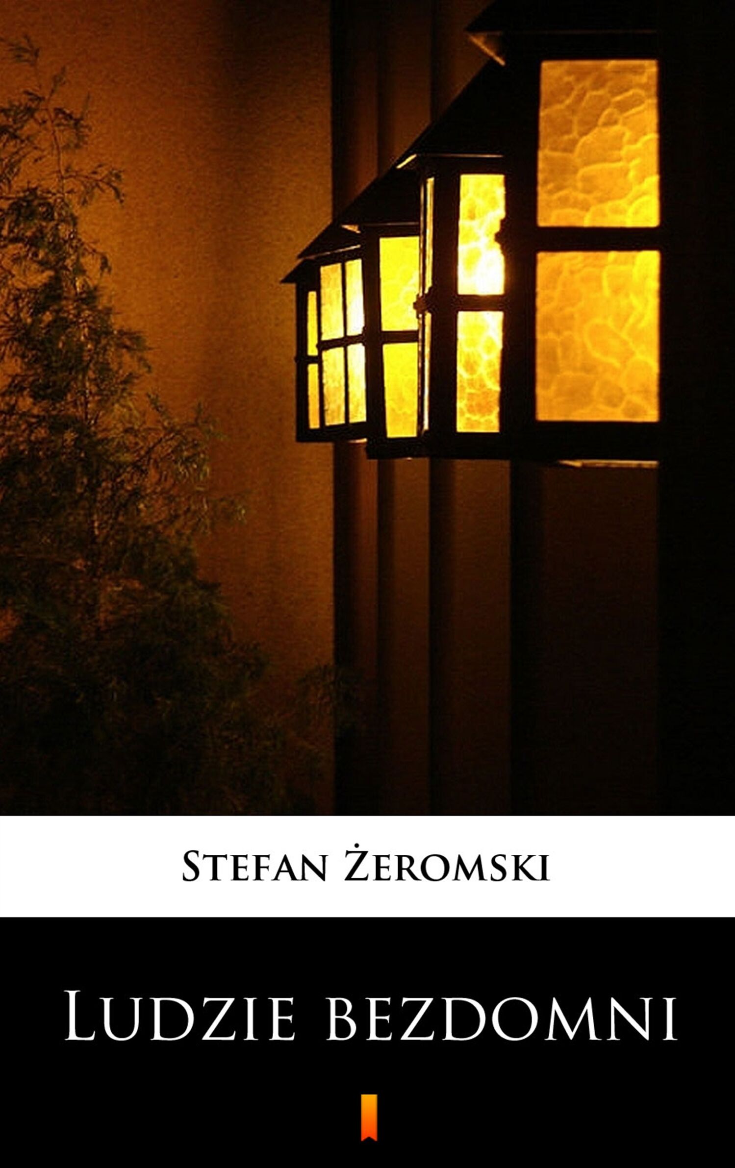 Ludzie bezdomni (e-book)