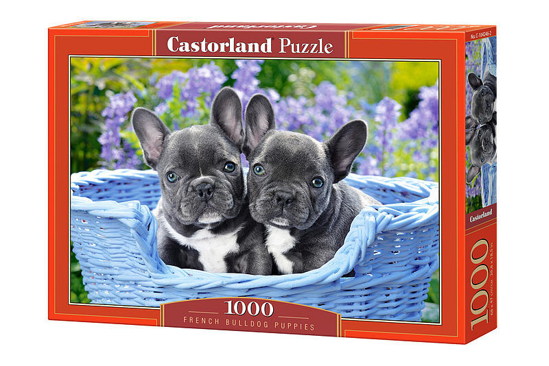 Puzzle 1000 szczenięta buldoga francuskiego c-104246-2