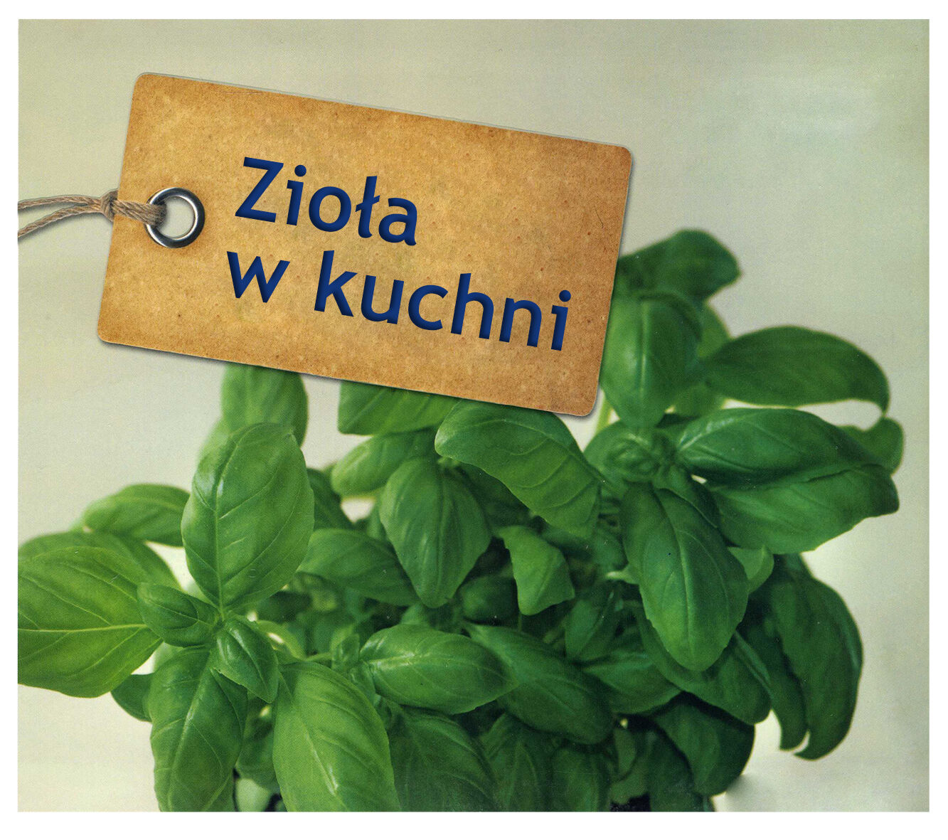 Zioła w kuchni