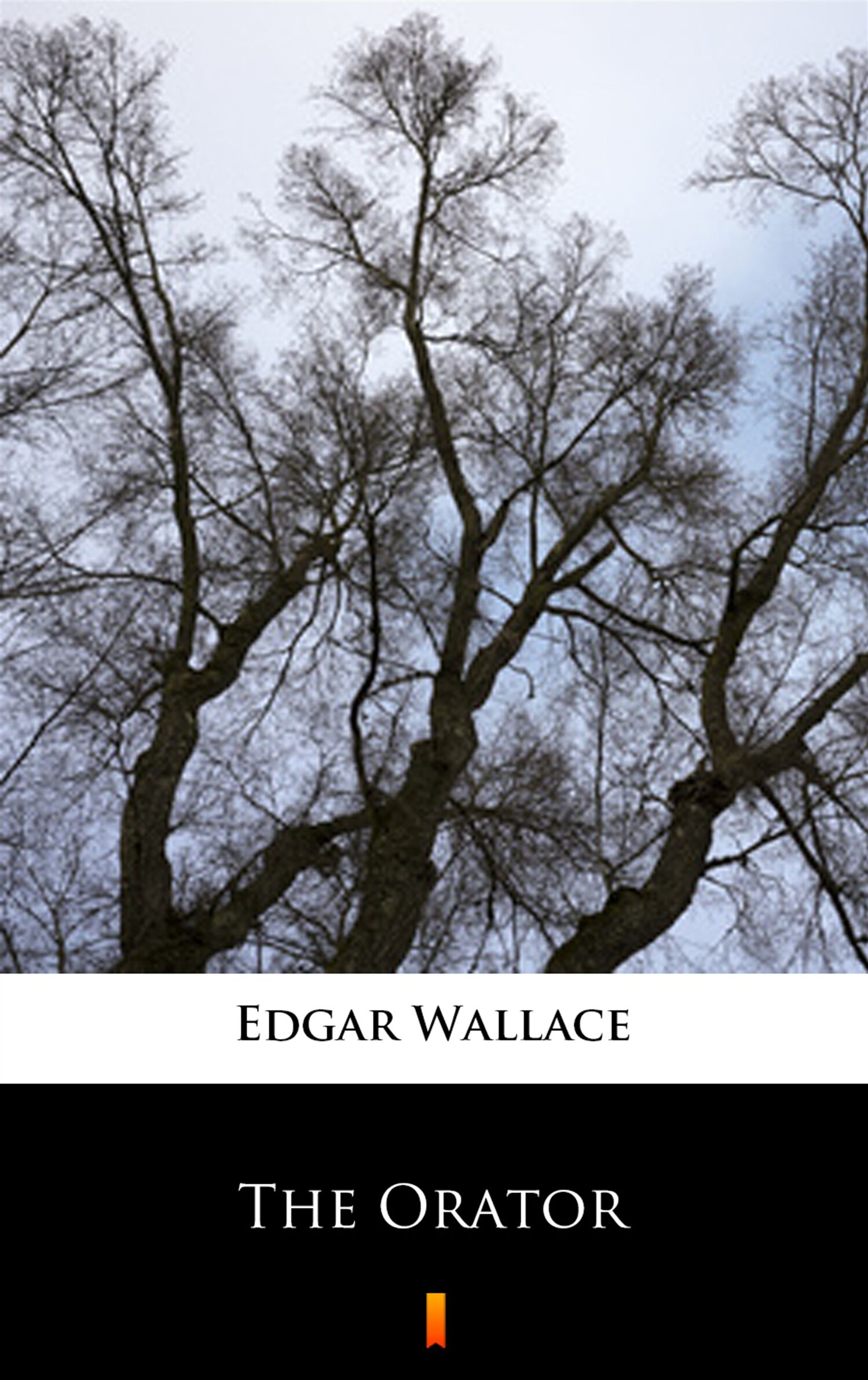 The Orator (e-book)