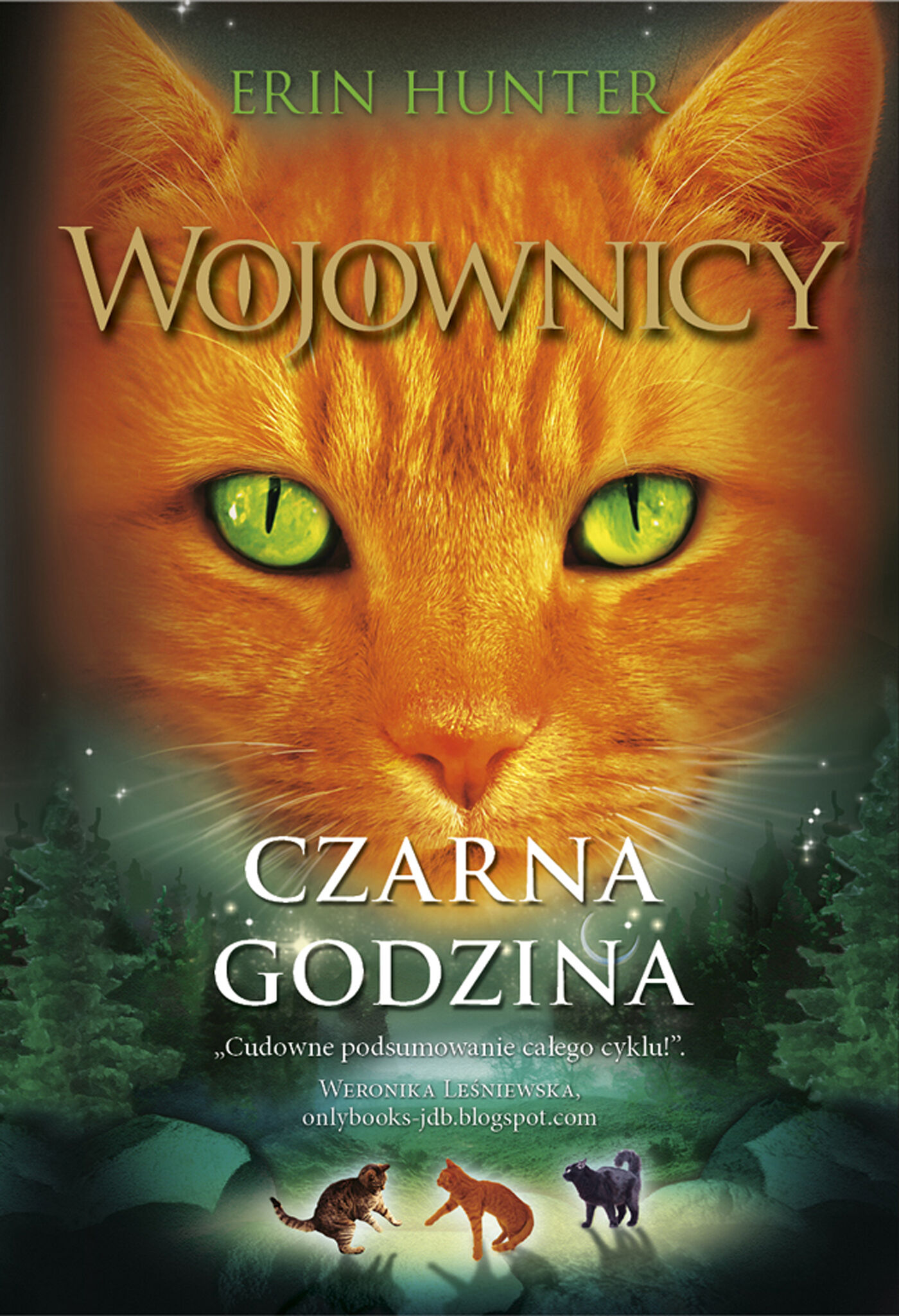 Czarna godzina, Wojownicy, Tom VI (e-book)