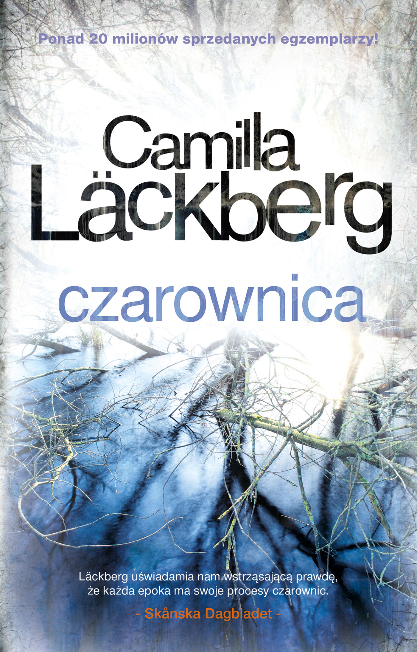 Czarownica (e-book)