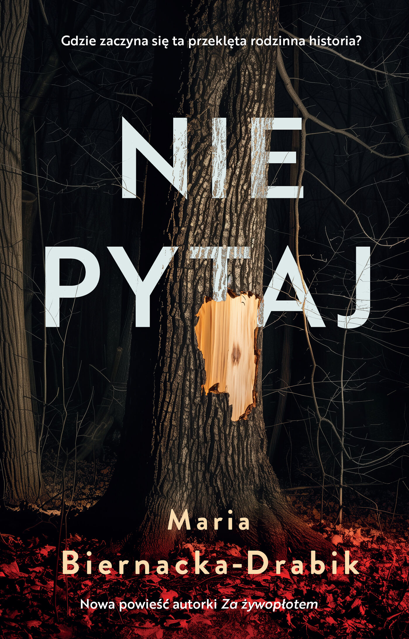 Nie pytaj (e-book)