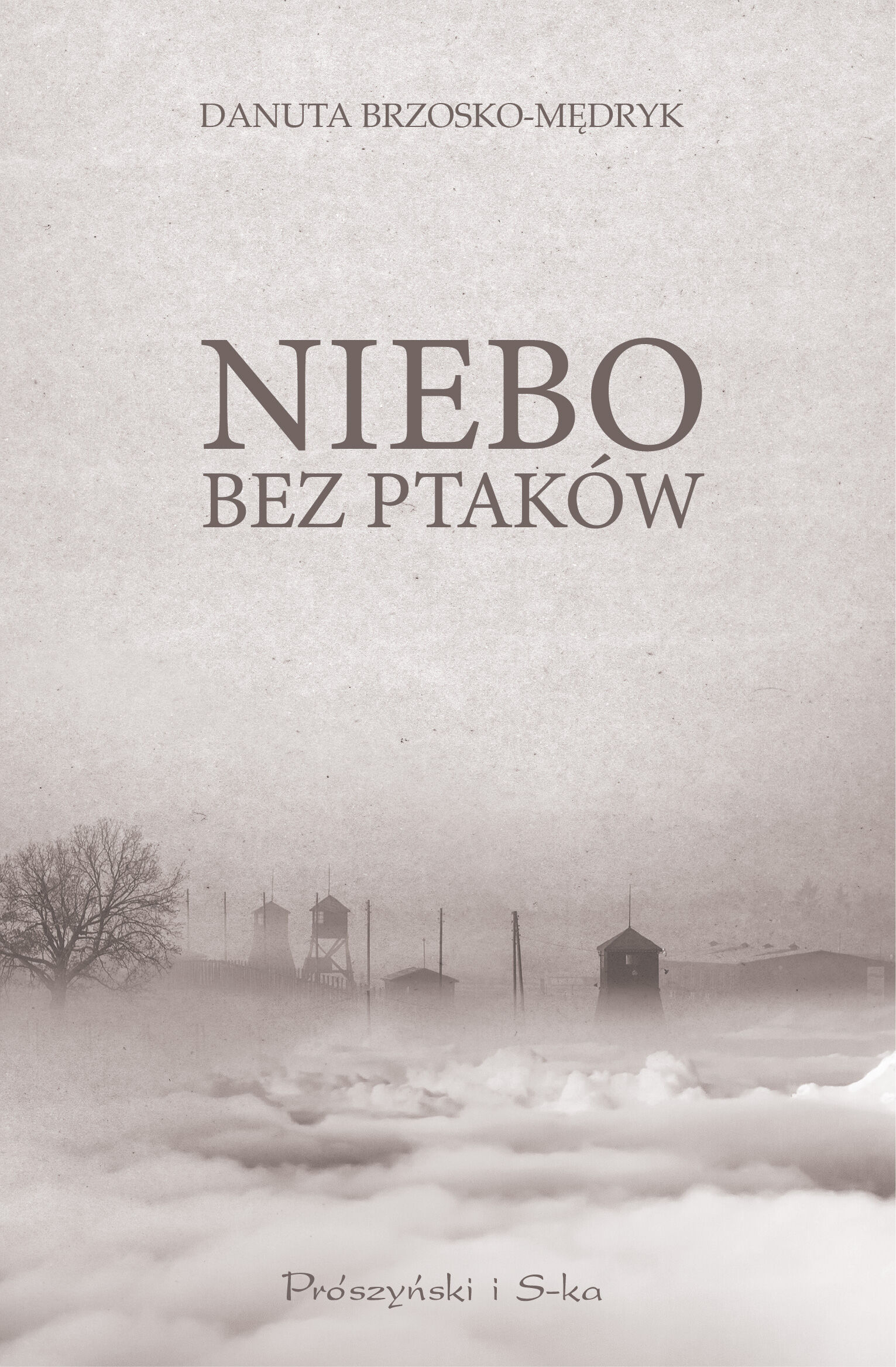 Niebo bez ptaków (e-book)
