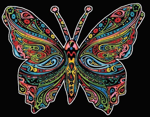 Kolorowanka Welwetowa Colorvelvet 47x35 cm Motyl + 12 flamastrów Carioca