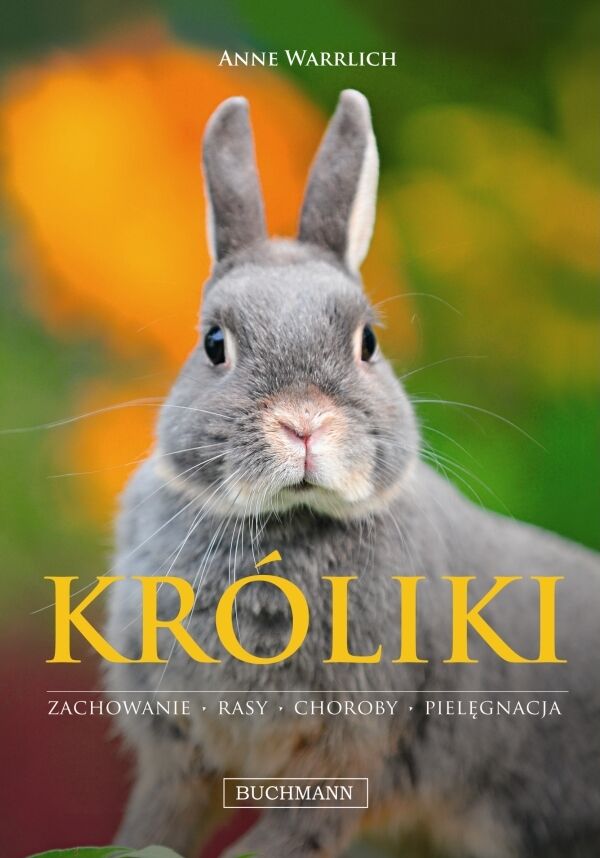 Króliki