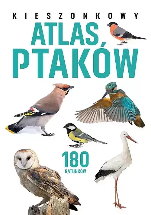 Kieszonkowy atlas ptaków. 180 gatunków