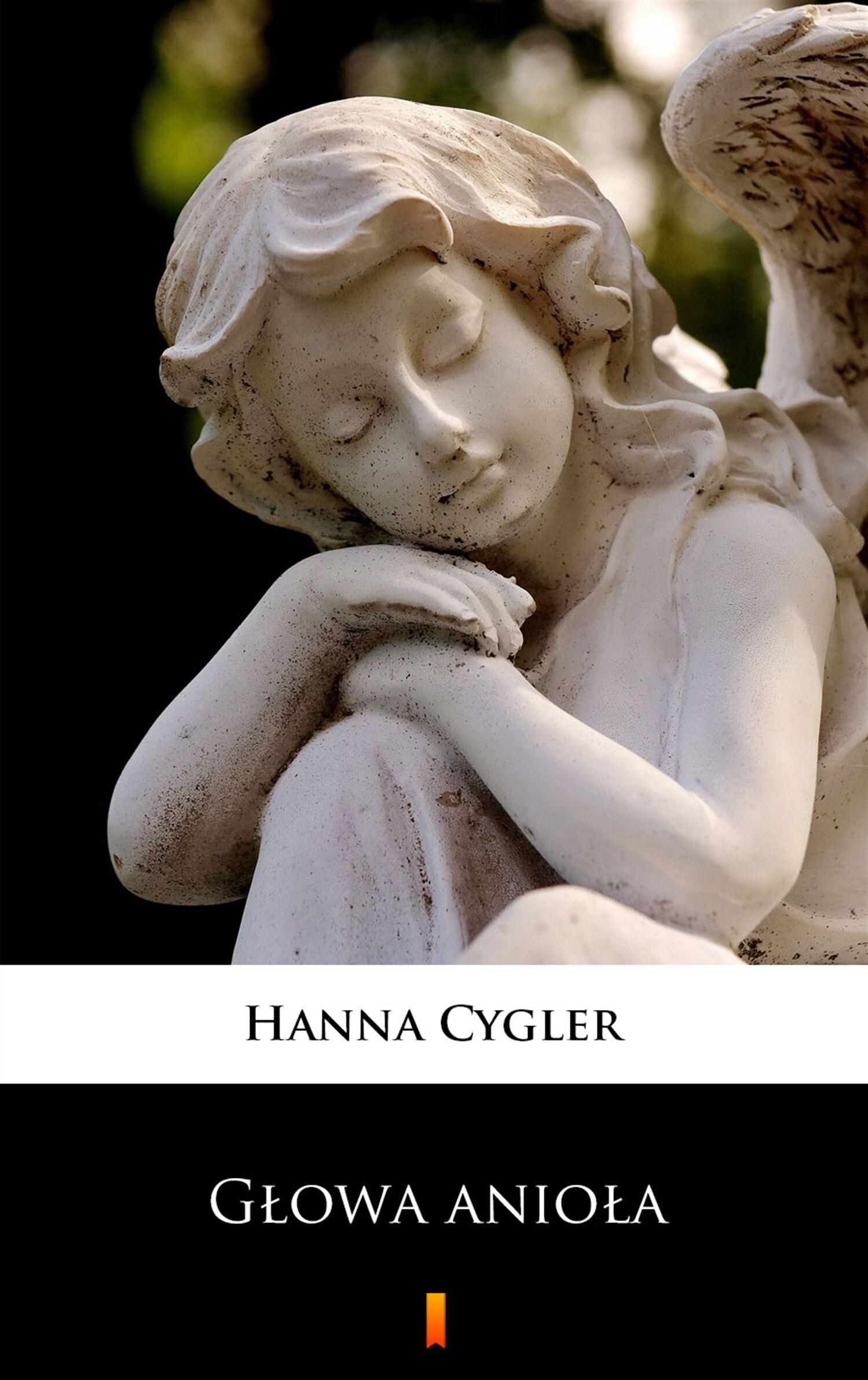 Głowa anioła (e-book)