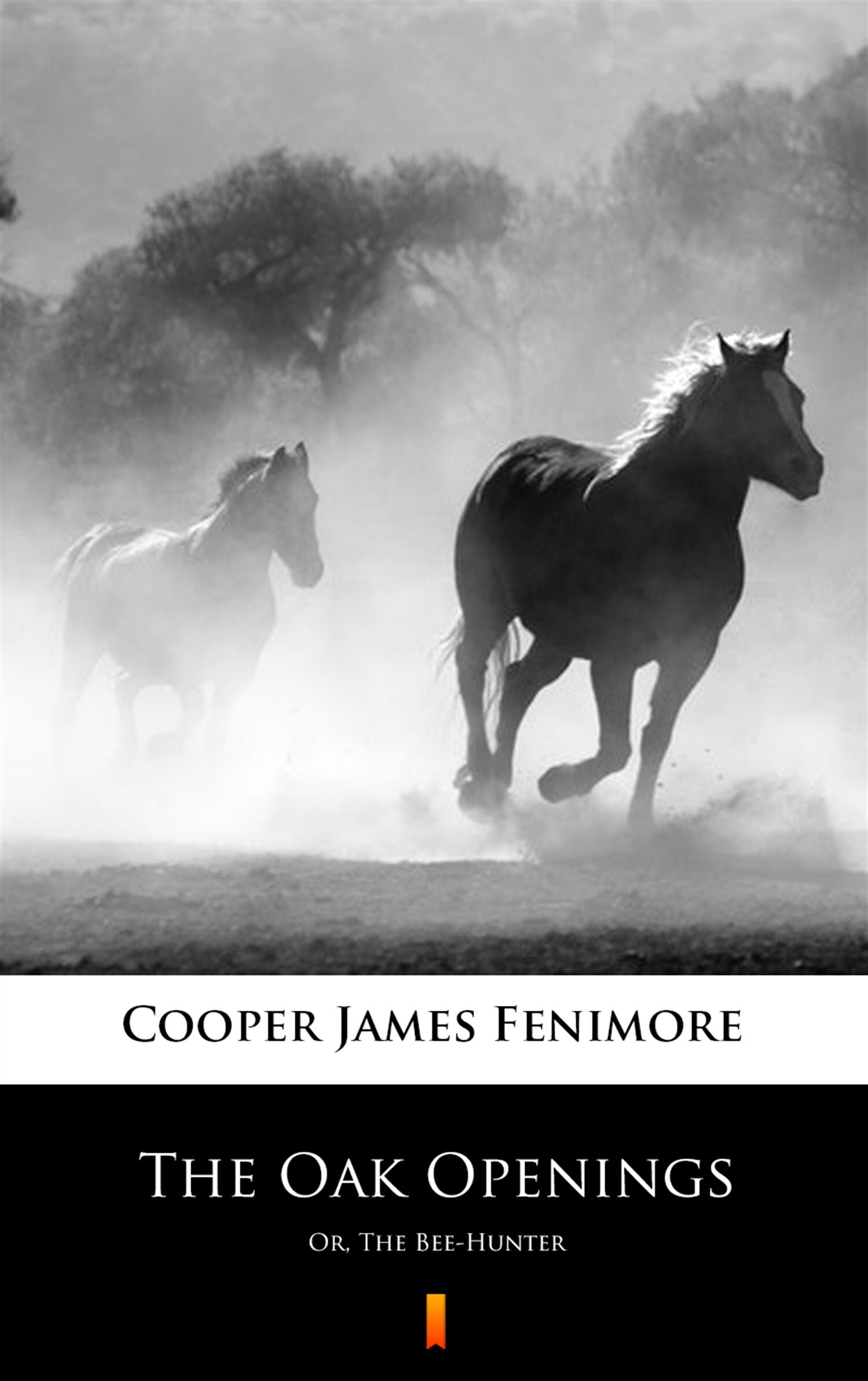 The Oak Openings (e-book)