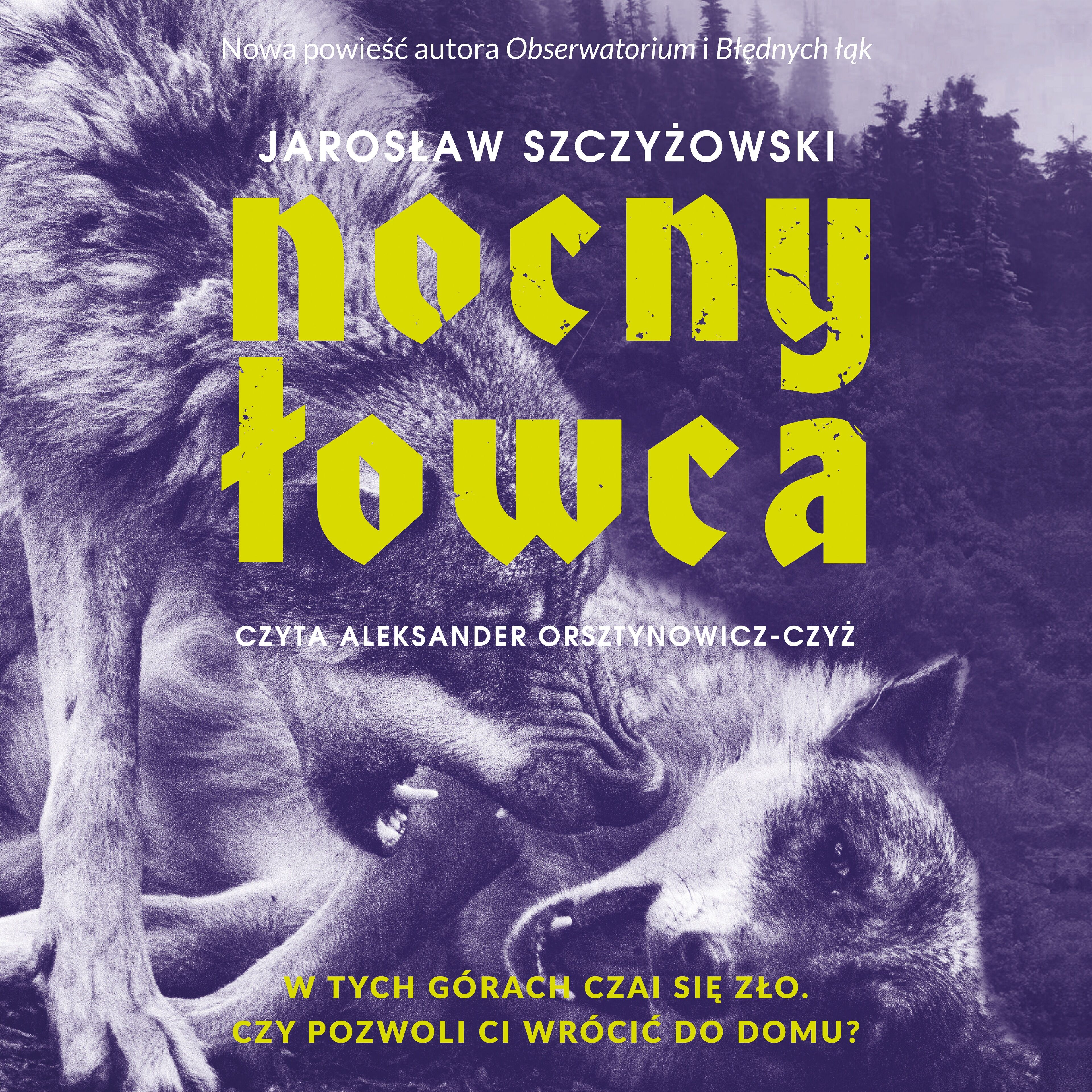 Nocny łowca (audiobook MP3)