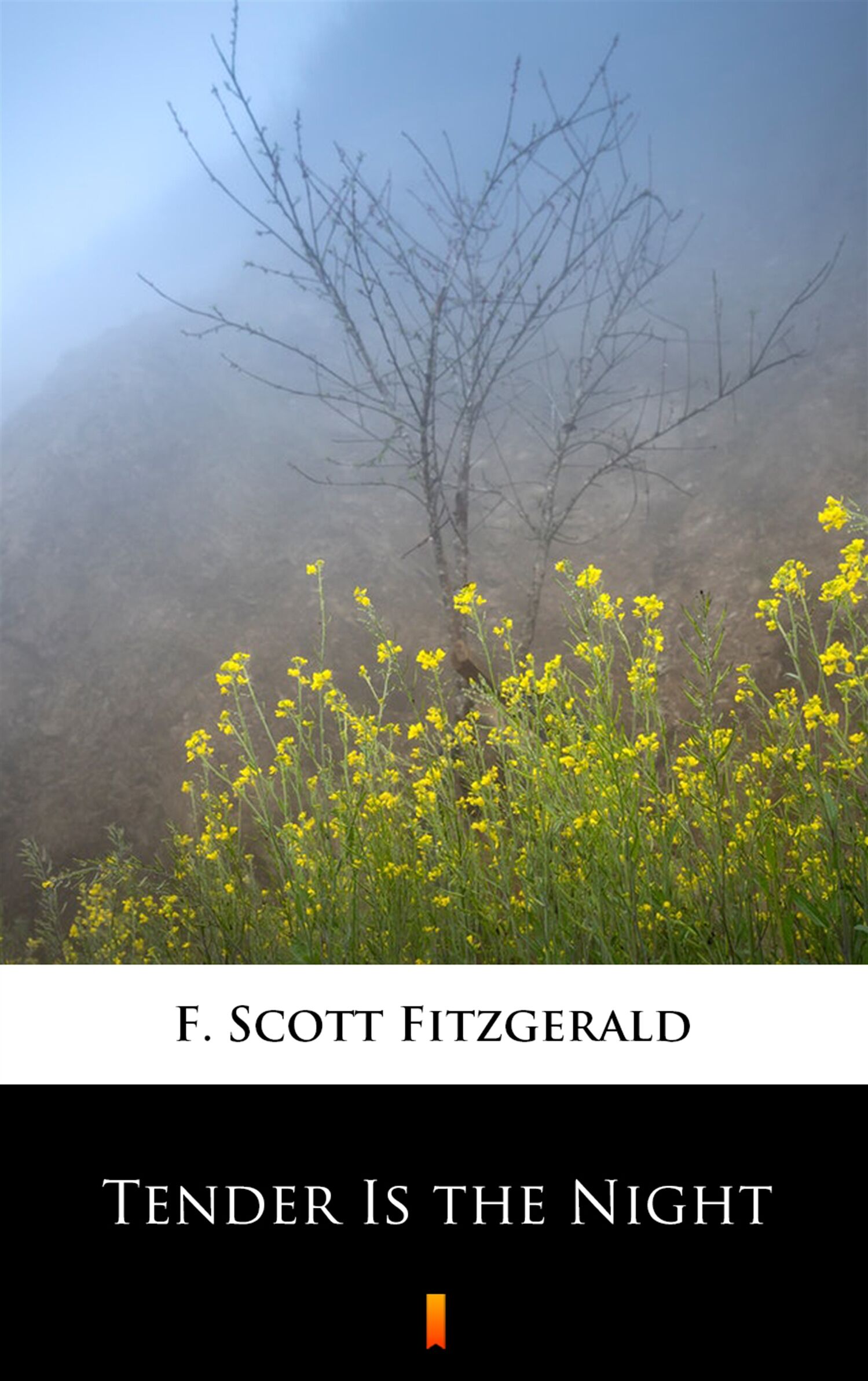 Tender Is the Night (e-book)