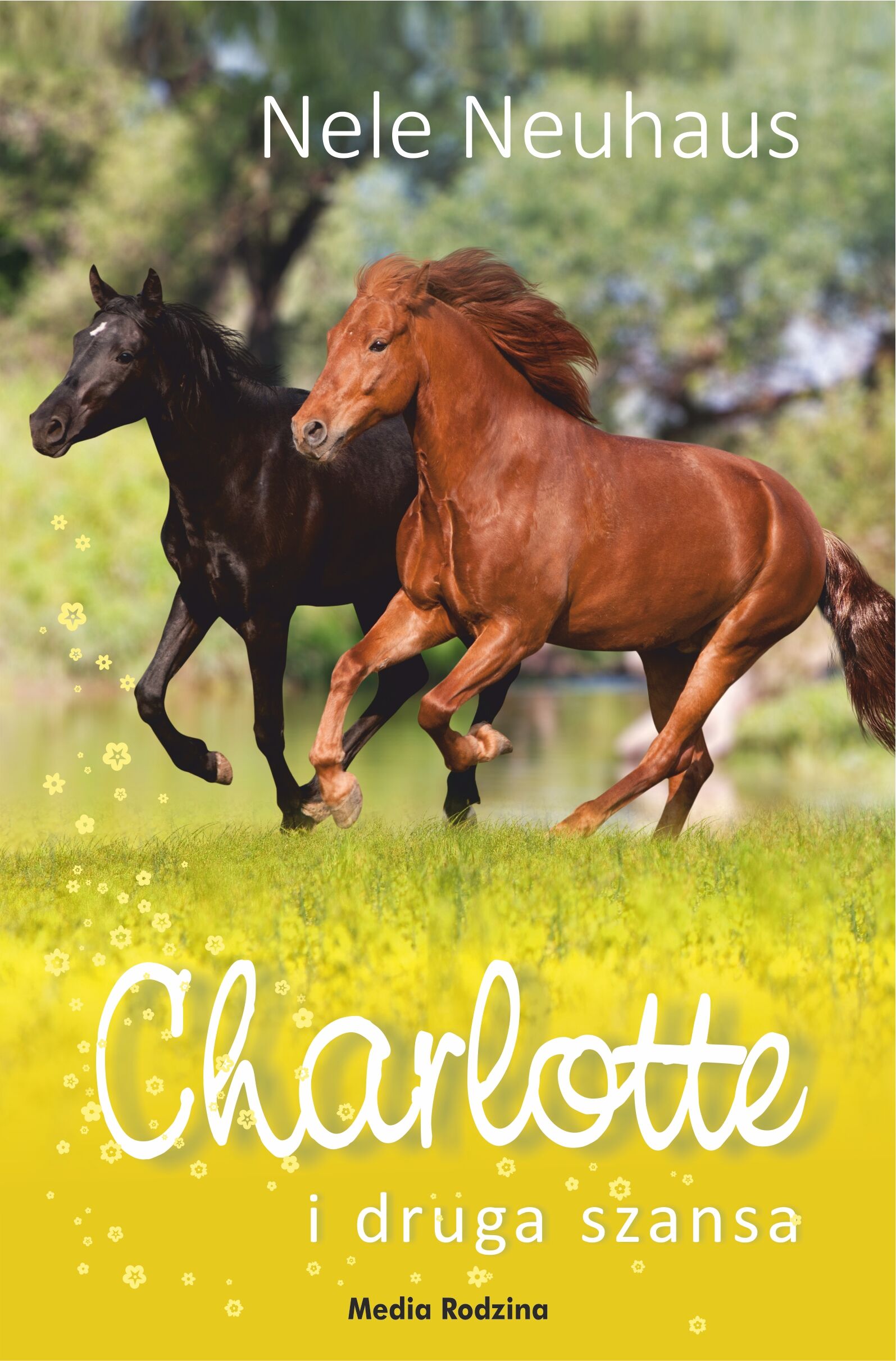 Charlotte i druga szansa (e-book)