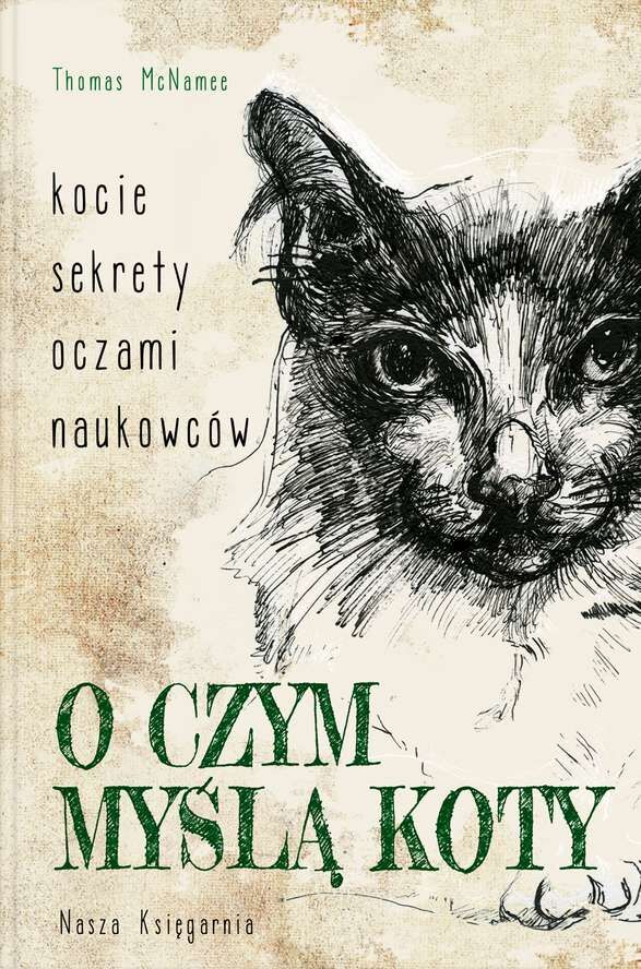 O czym myślą koty kocie sekrety oczami naukowców