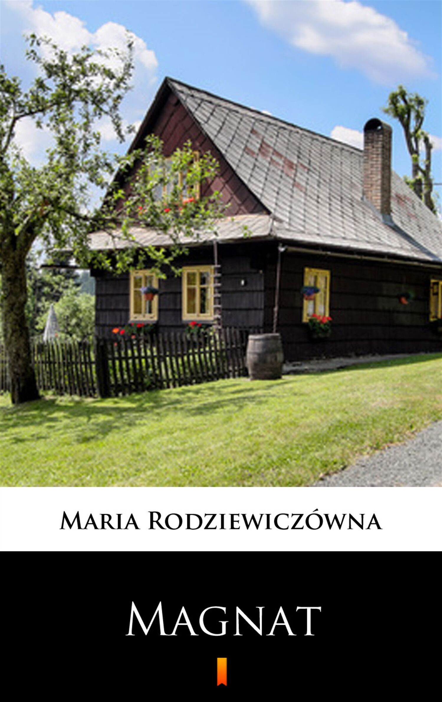 Magnat (e-book)