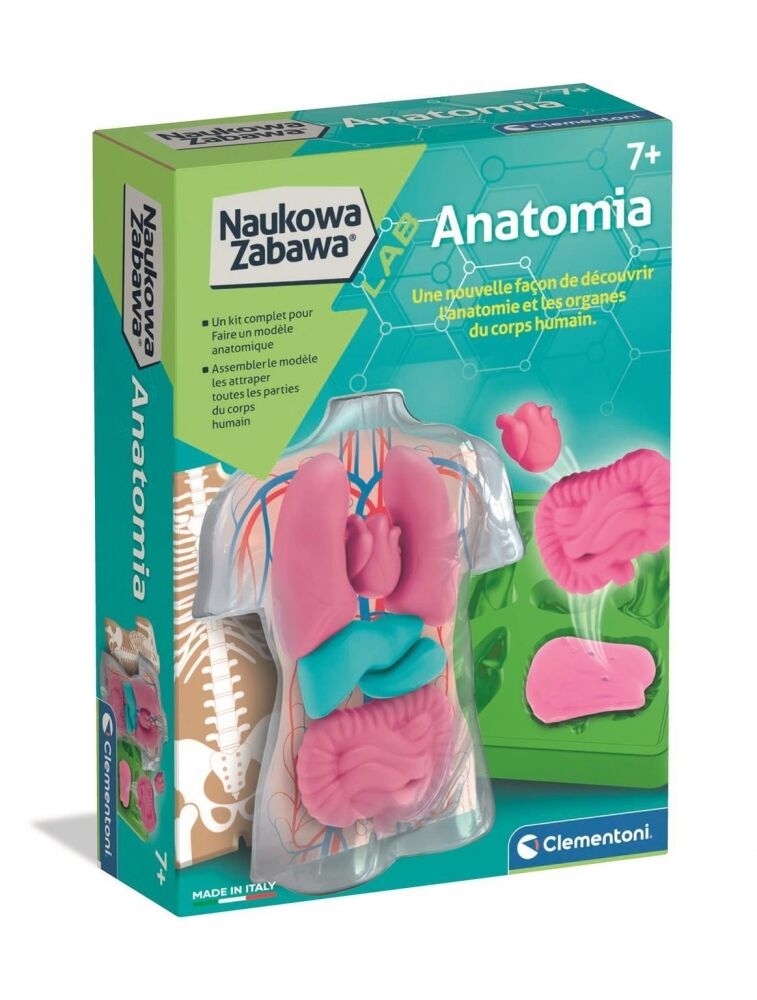 Naukowa Zabawa. Anatomia