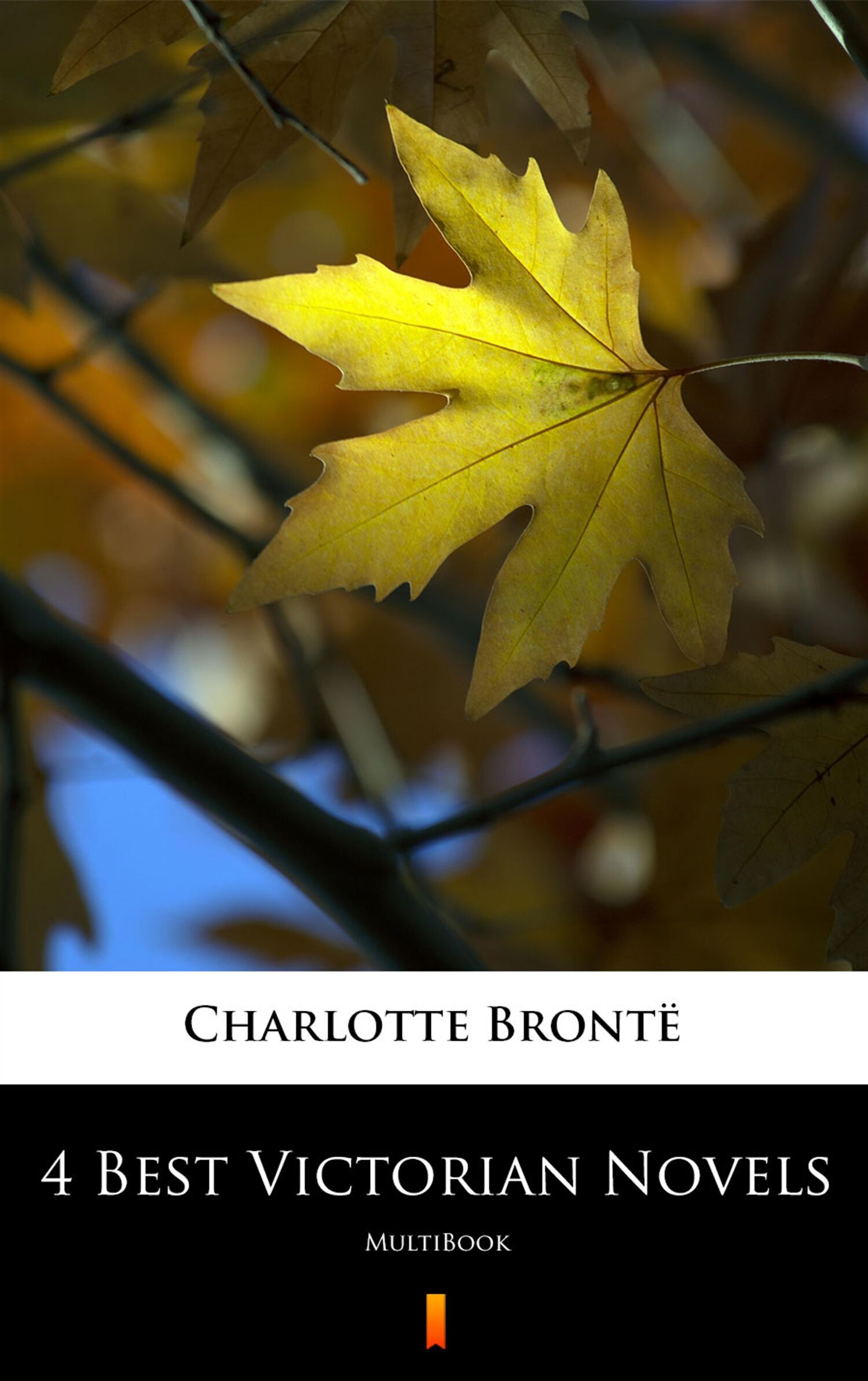 4 Best Victorian Novels (e-book)