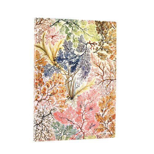 Notatnik w linie Paperblanks William Kilburn, Anemone Midi