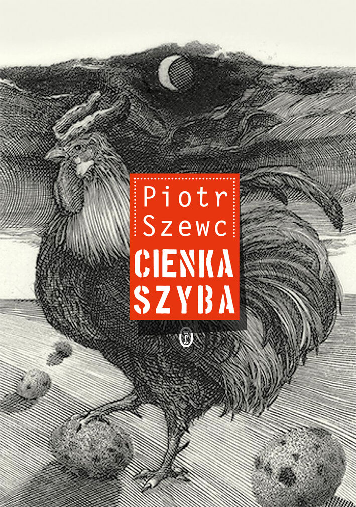 Cienka szyba (e-book)