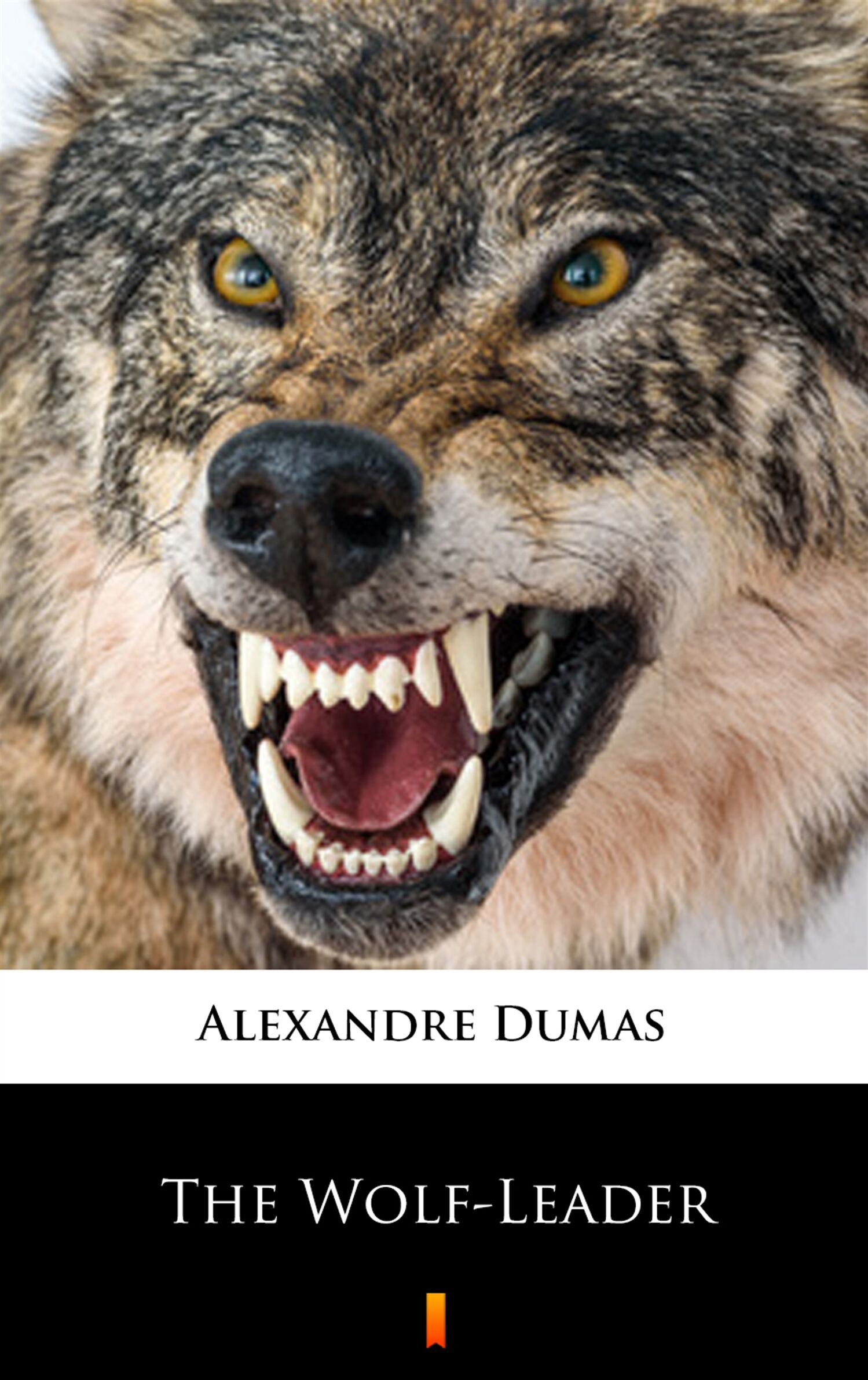 The Wolf-Leader (e-book)