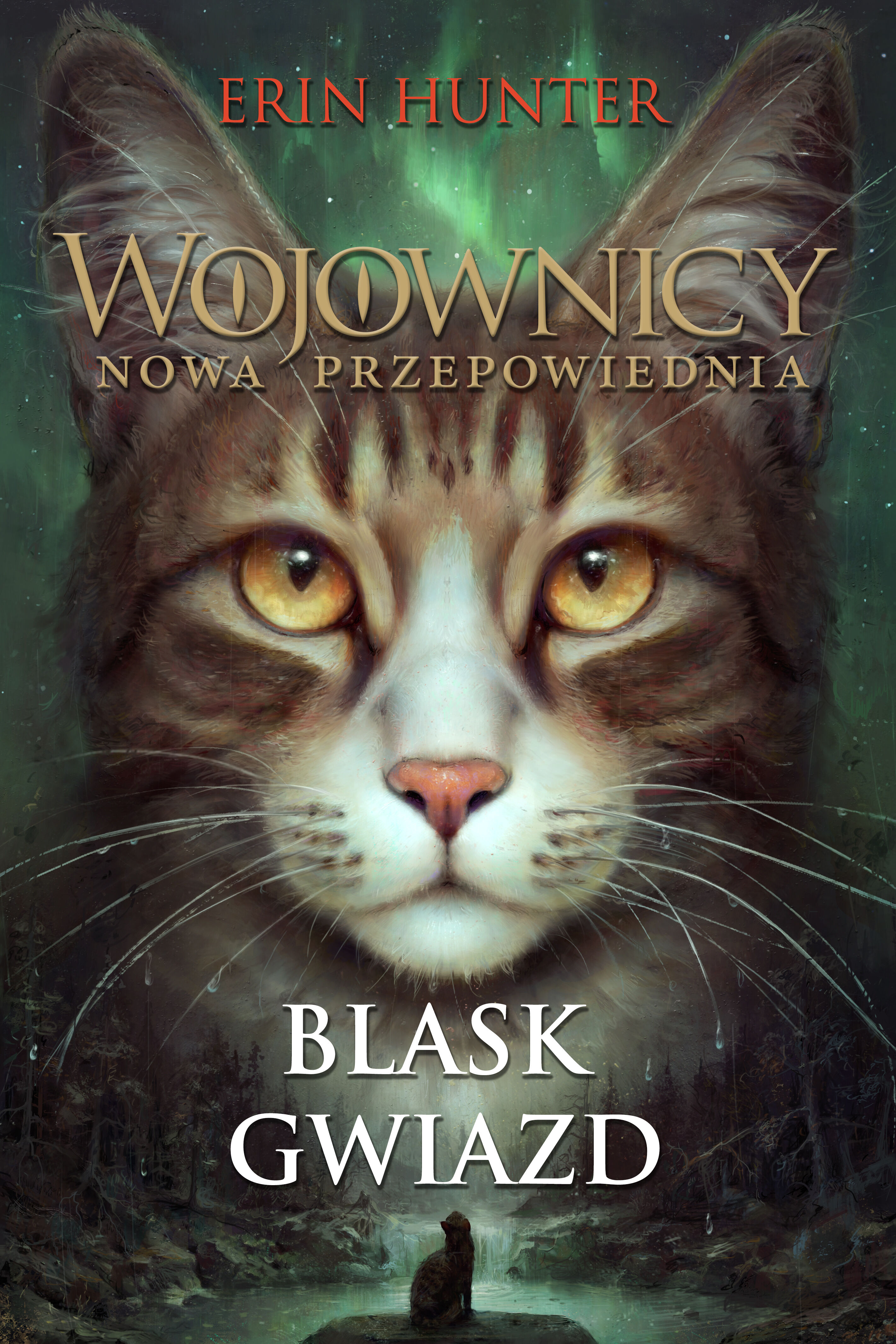 Blask gwiazd (e-book)