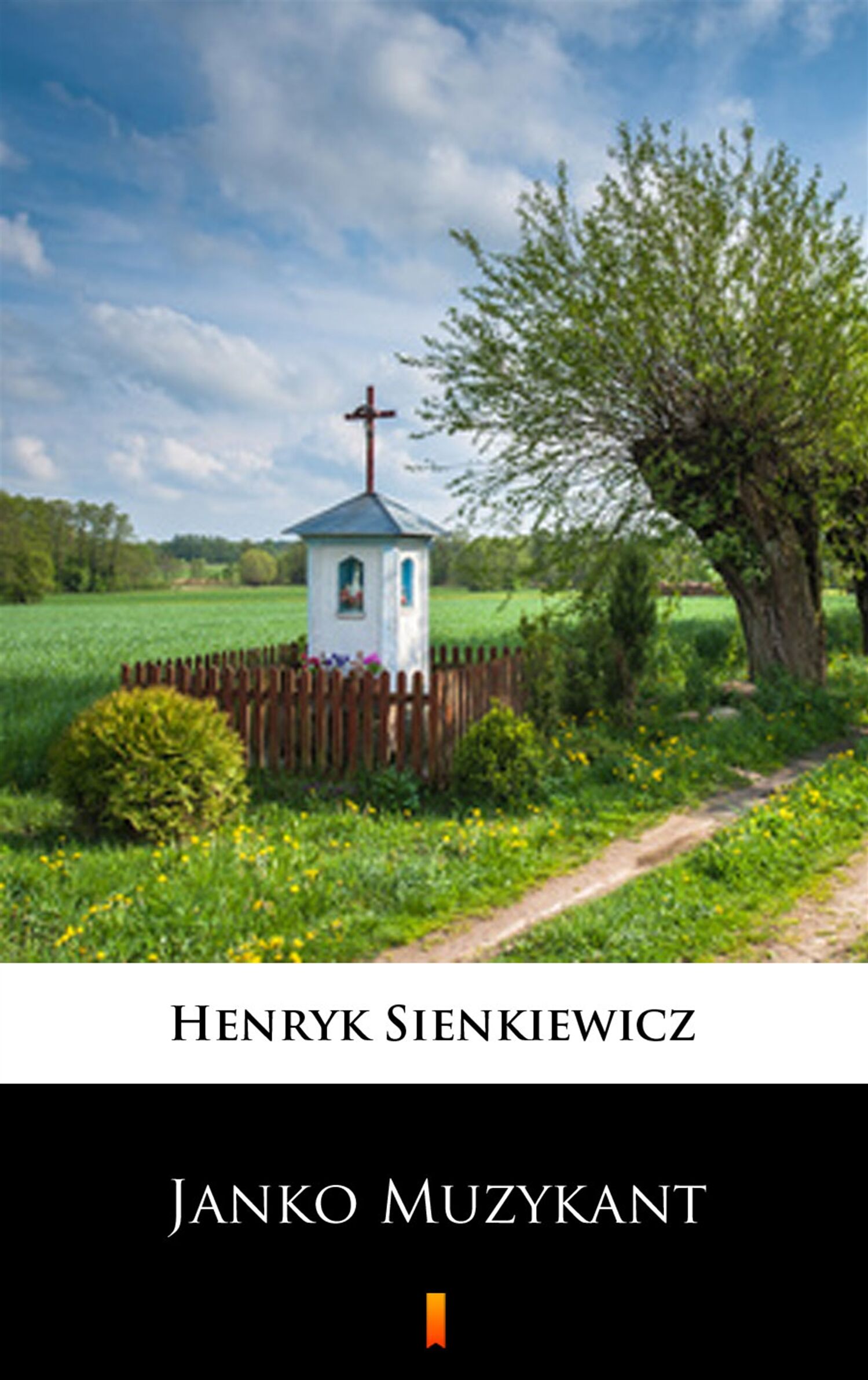 Janko Muzykant (e-book)