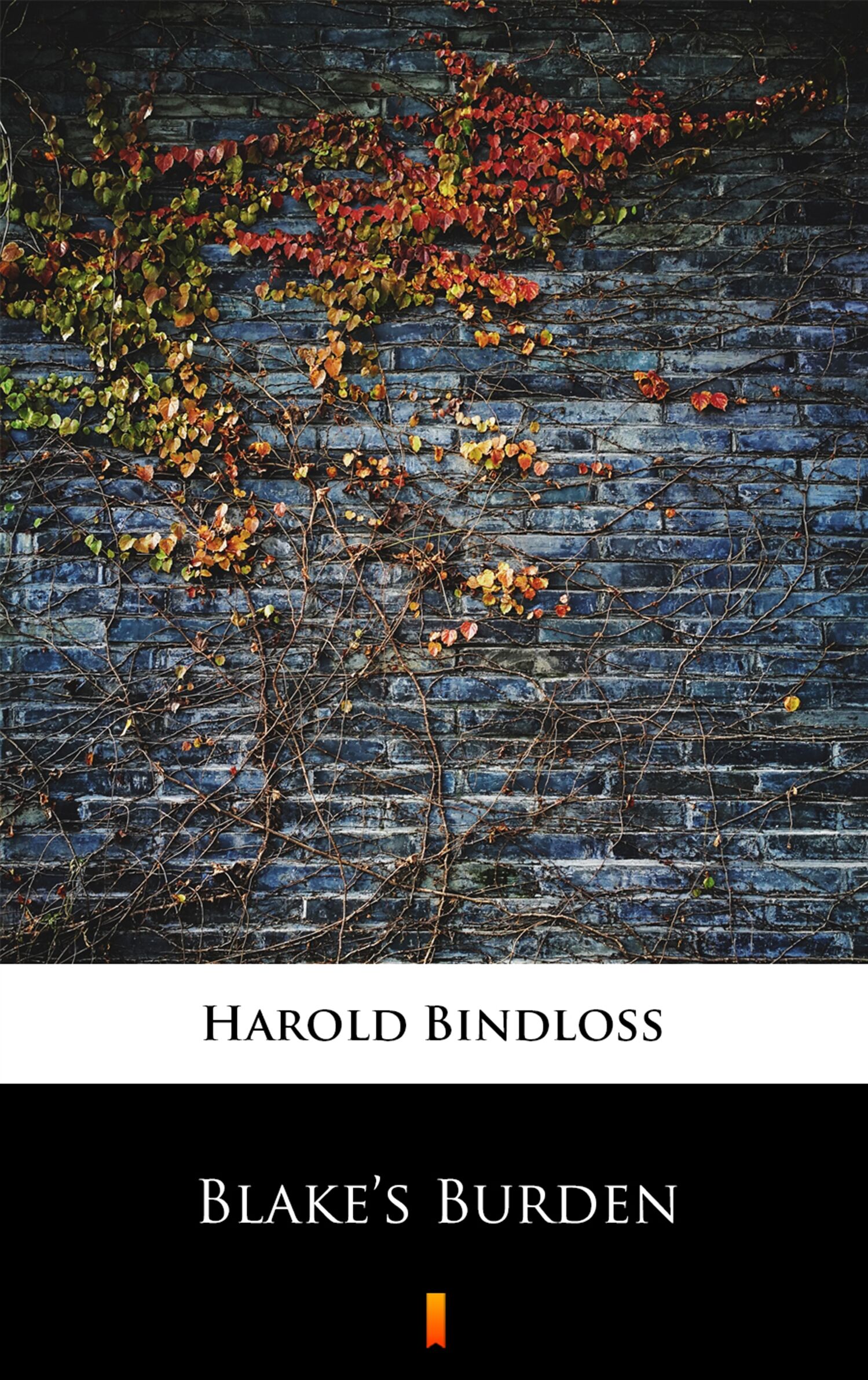 Blake’s Burden (e-book)