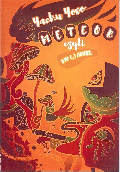 Meteor czyli My