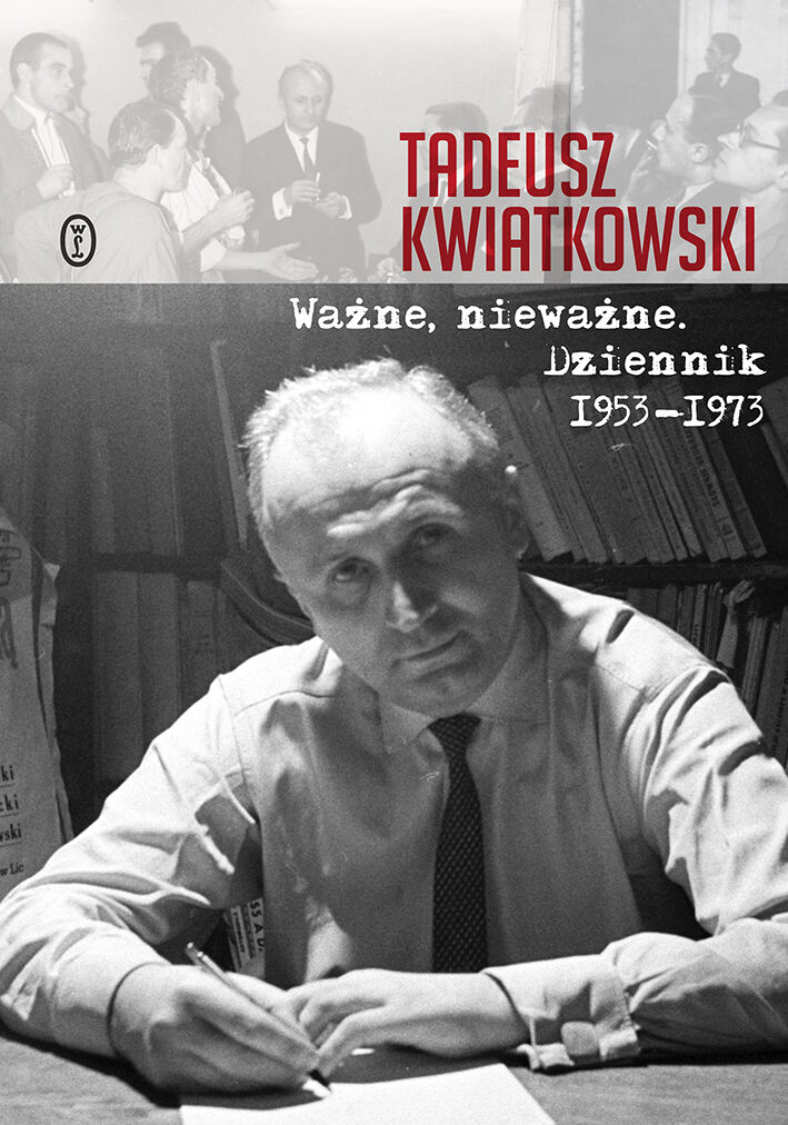 Ważne, nieważne (e-book)