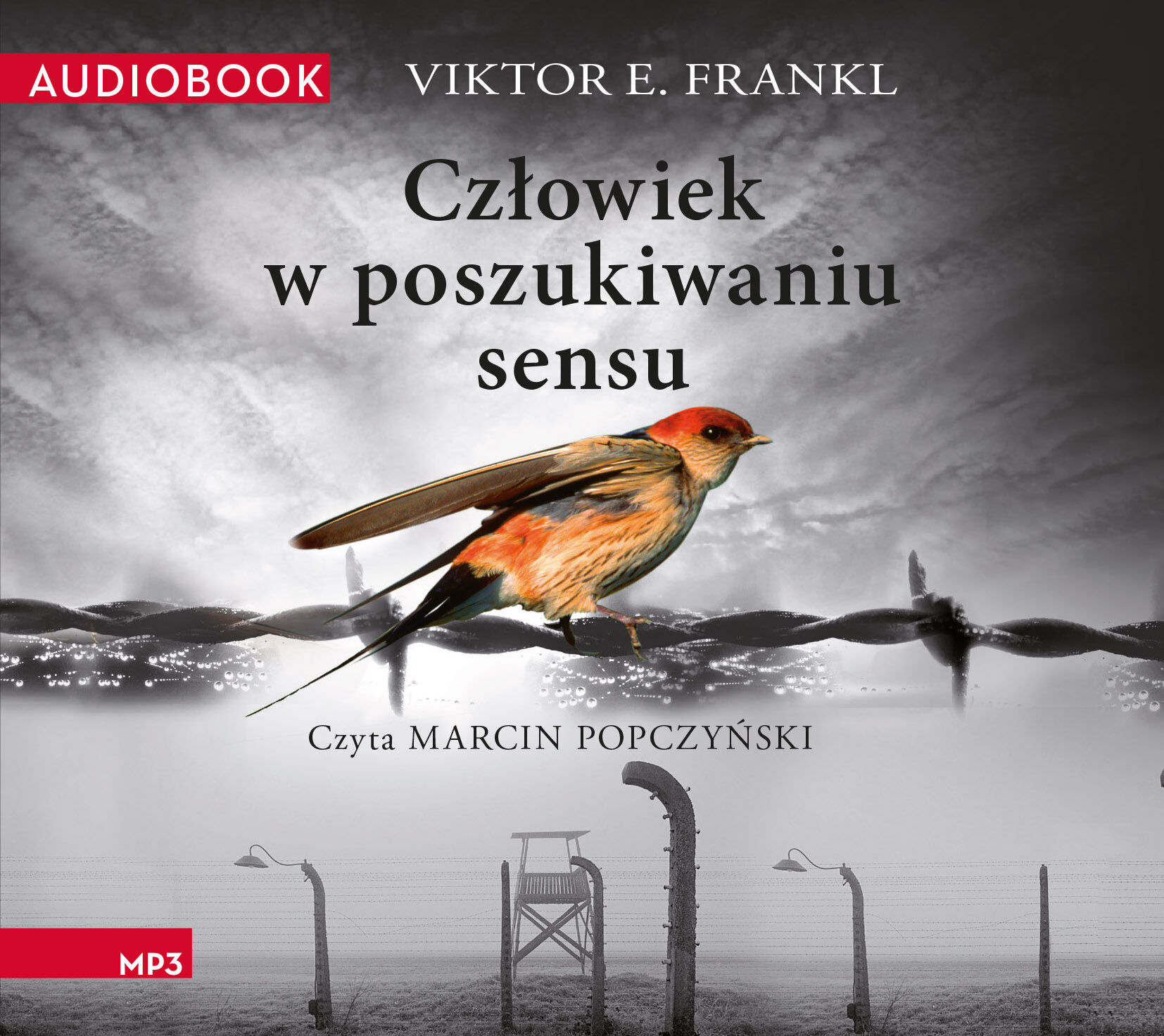 Człowiek w poszukiwaniu sensu (audiobook MP3)
