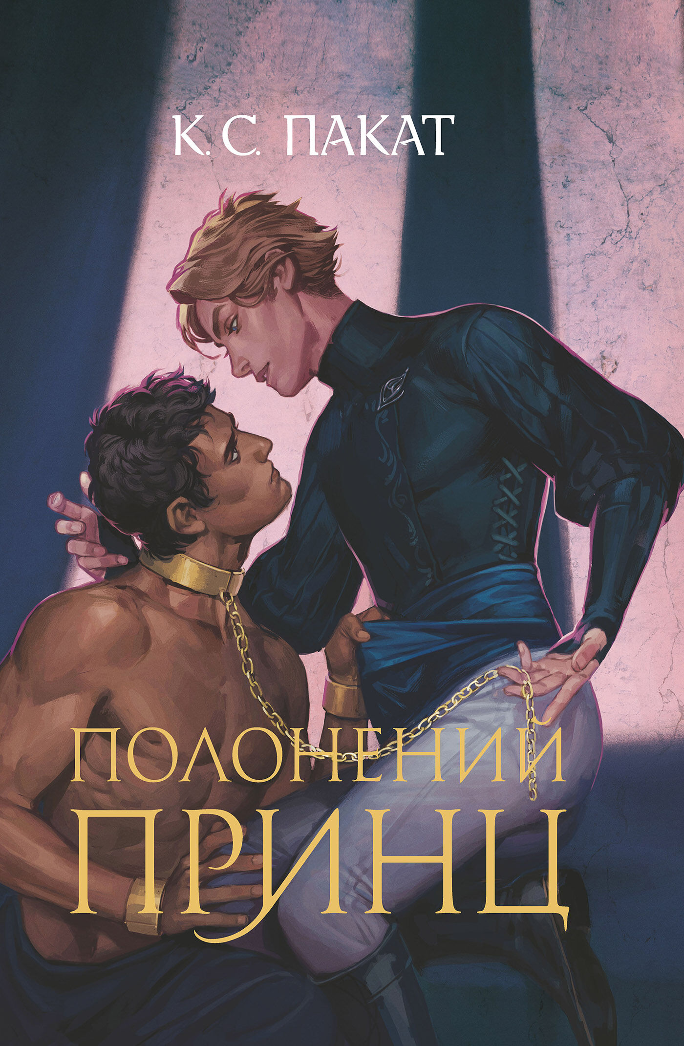 Полонений принц: роман: Книга 1 (e-book)