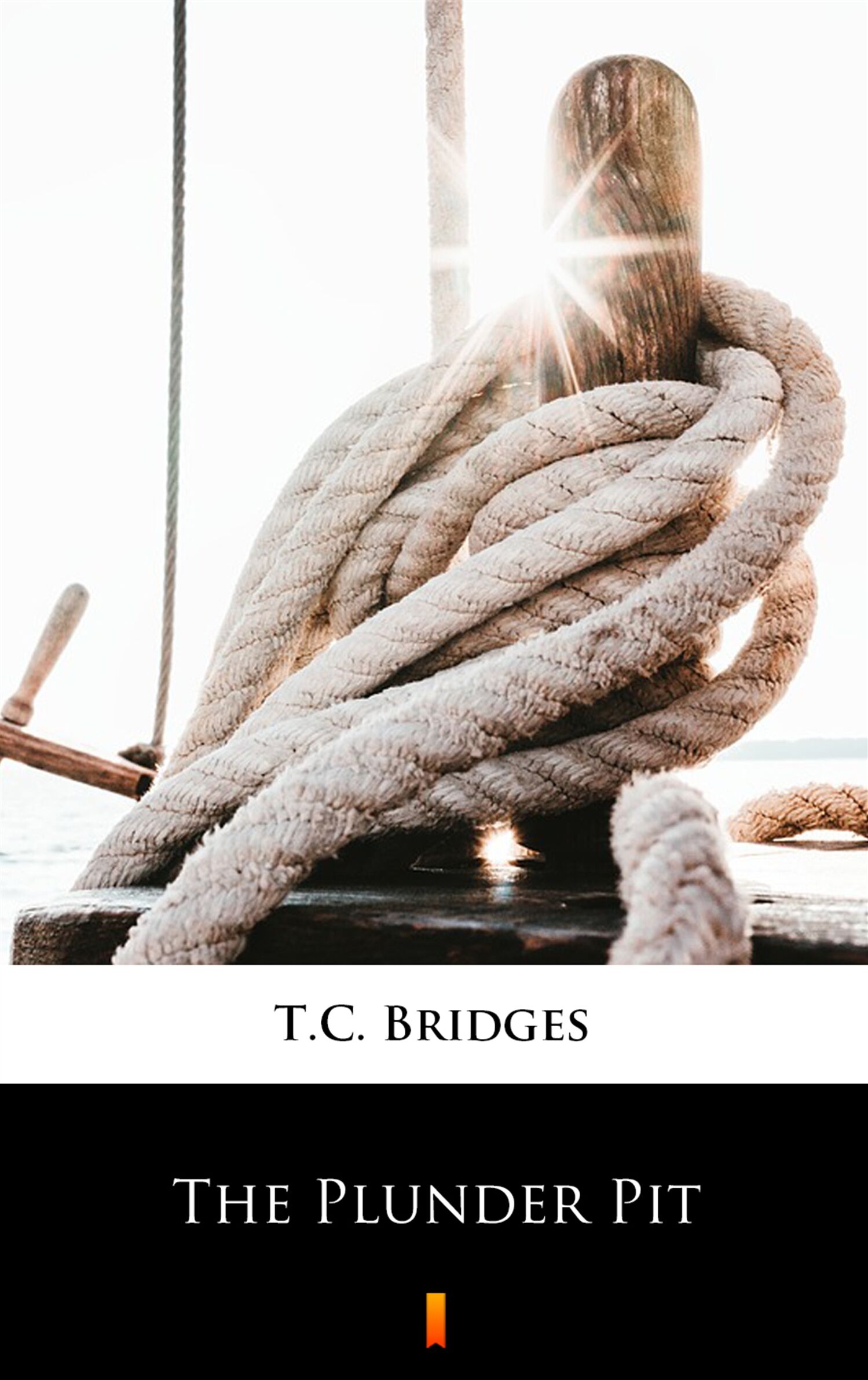 The Plunder Pit (e-book)
