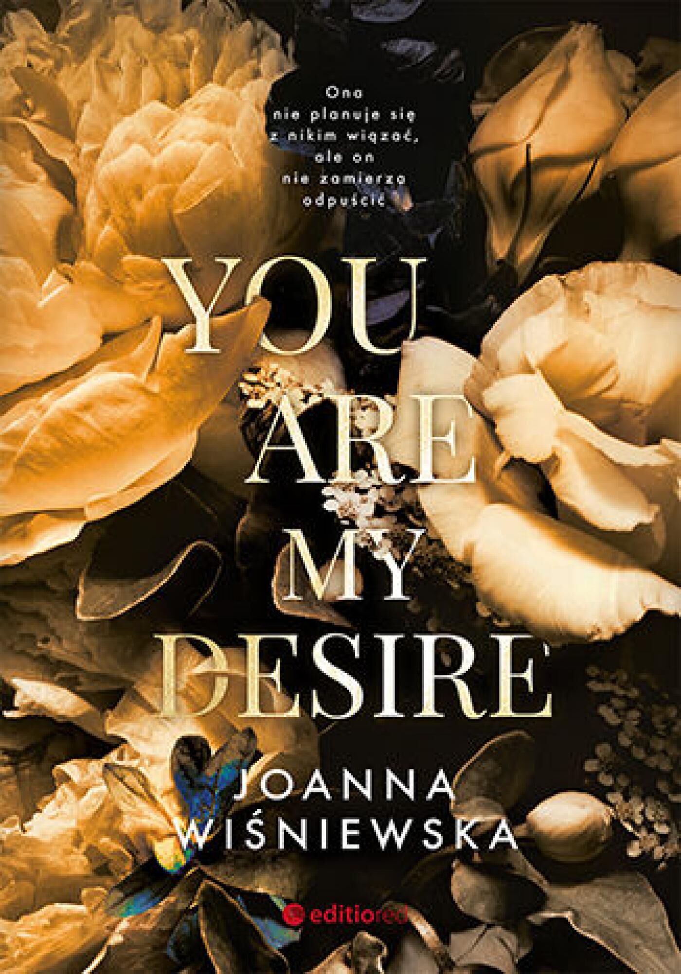 You are my desire (e-book)