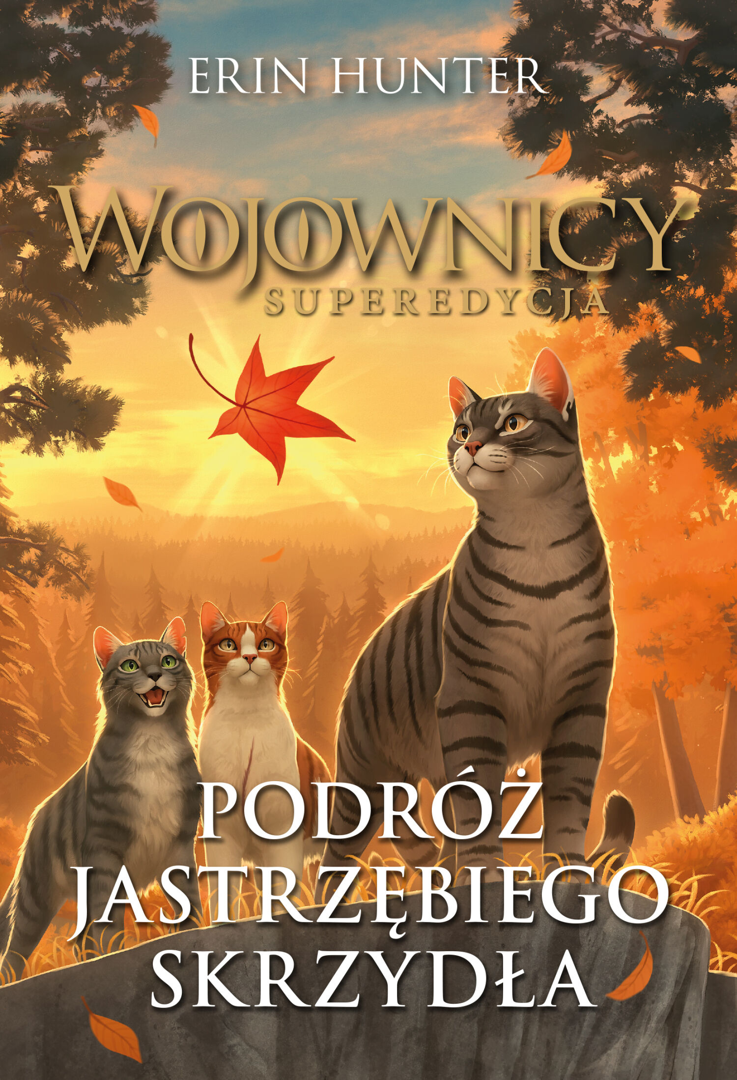 Podróż Jastrzębiego Skrzydła (e-book)