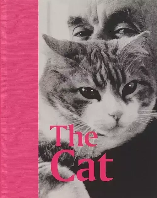 The Cat