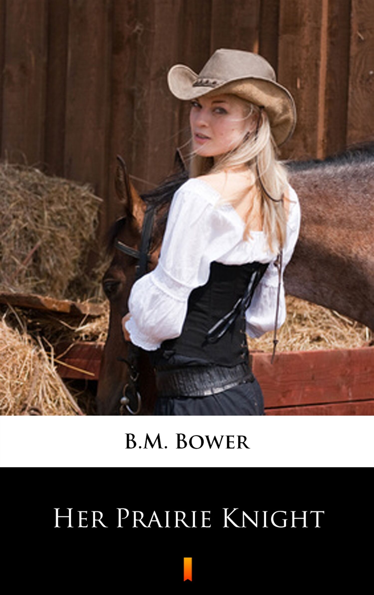 Her Prairie Knight (e-book)