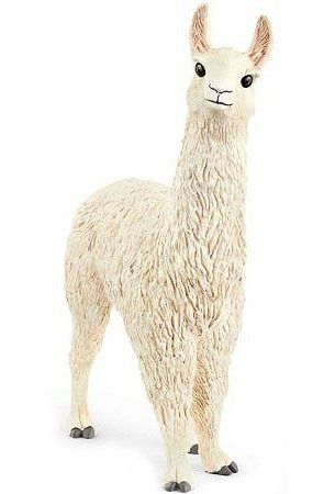 Lama slh13920