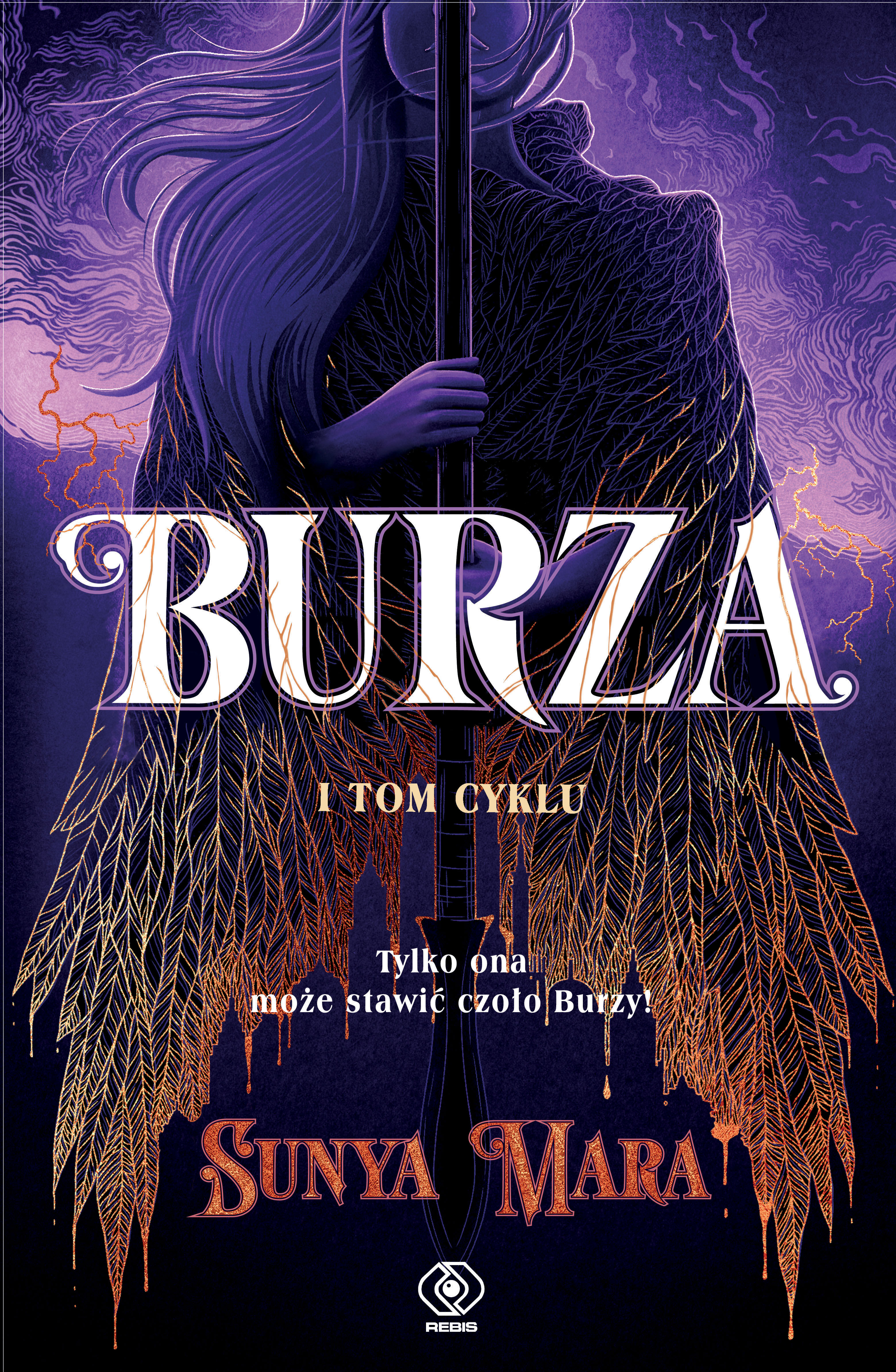 Burza (e-book)
